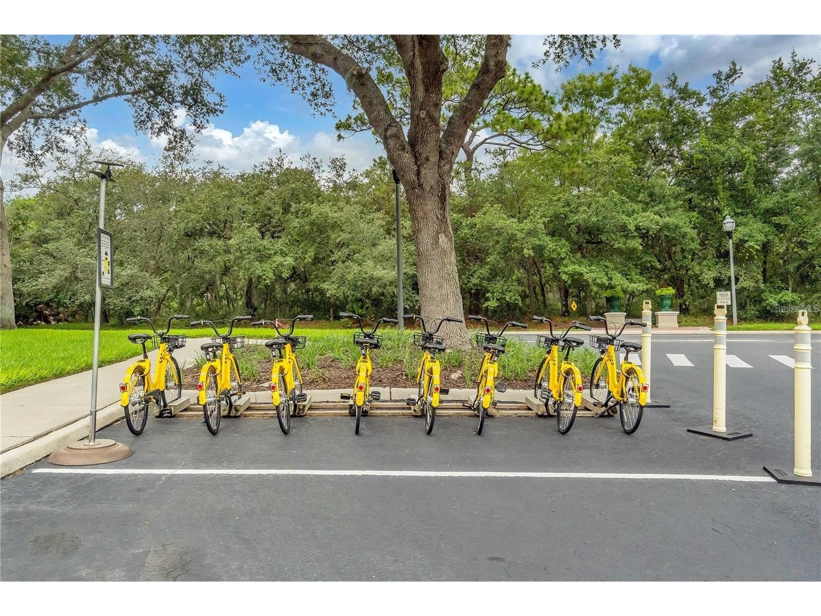 8411 Crystal Cove Loop Kissimmee FL 34747 S5144464 image41