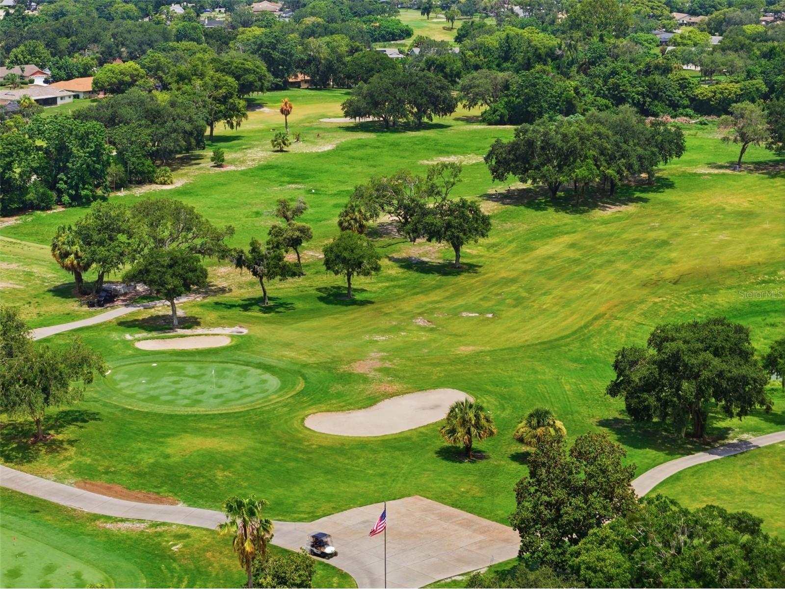 8411 Lincolnshire Drive Hudson FL 34667 TB8530963 image46