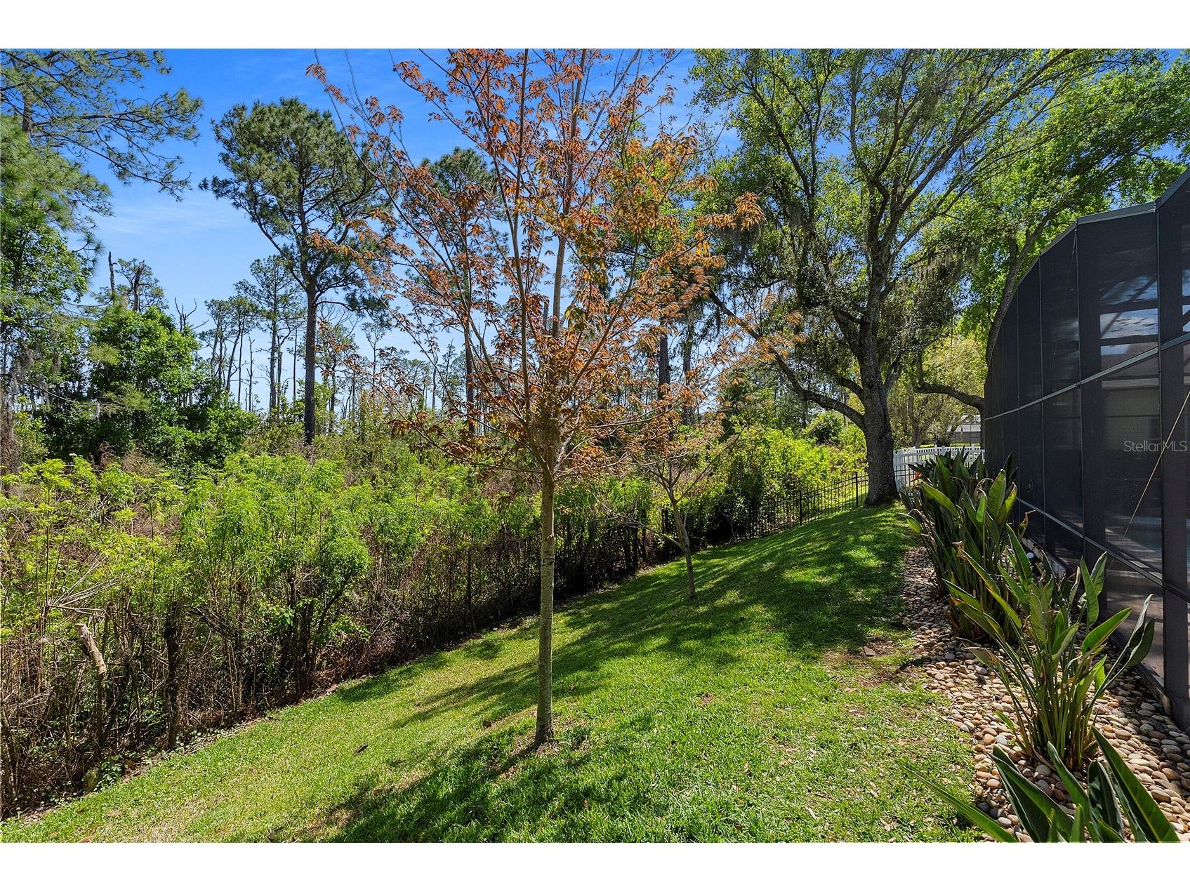 8411 Woburn Court Windermere FL 34786 O6391980 image38