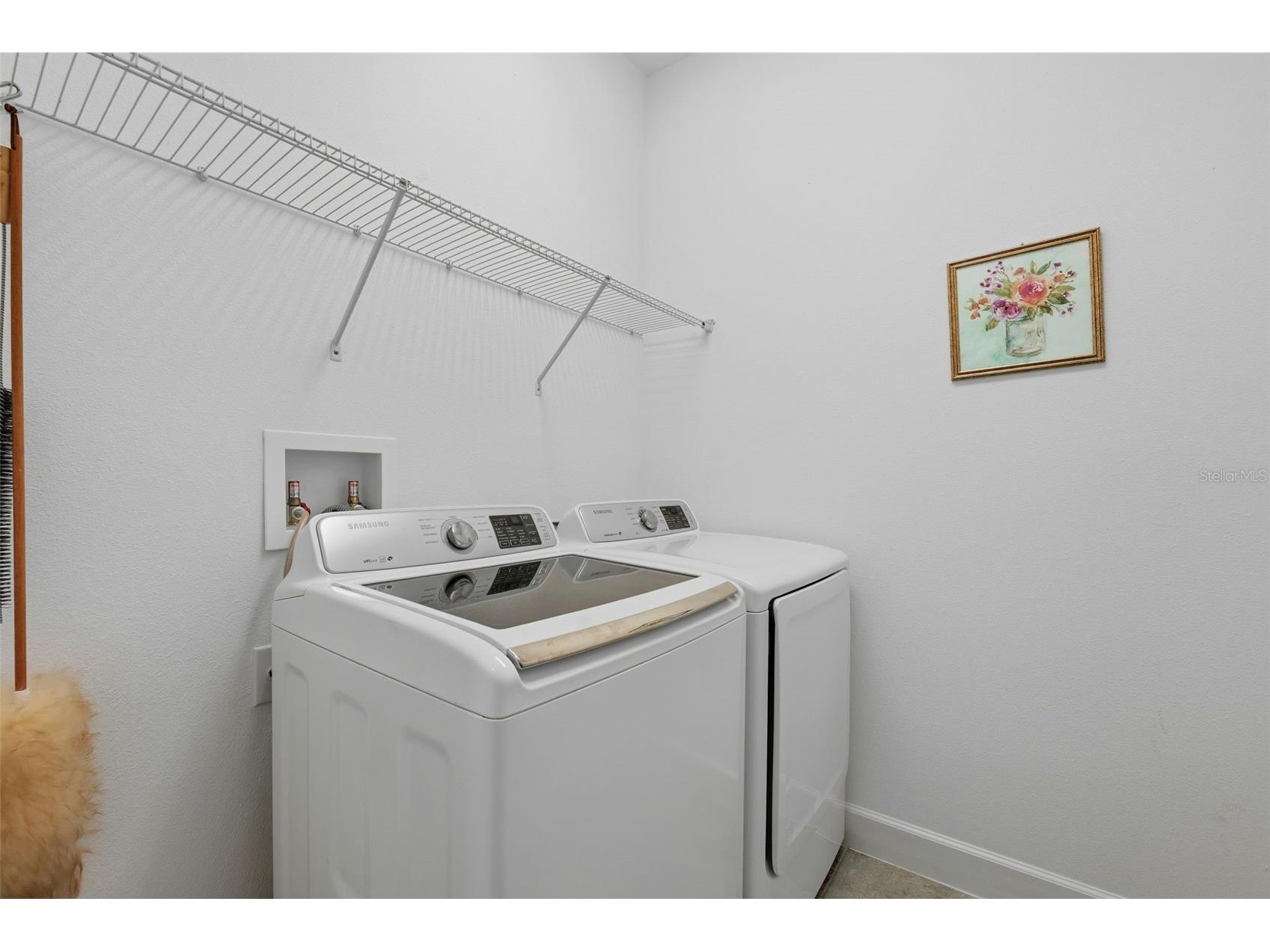 8412 Alberata Vista Drive Tampa FL 33647 TB8512449 image26