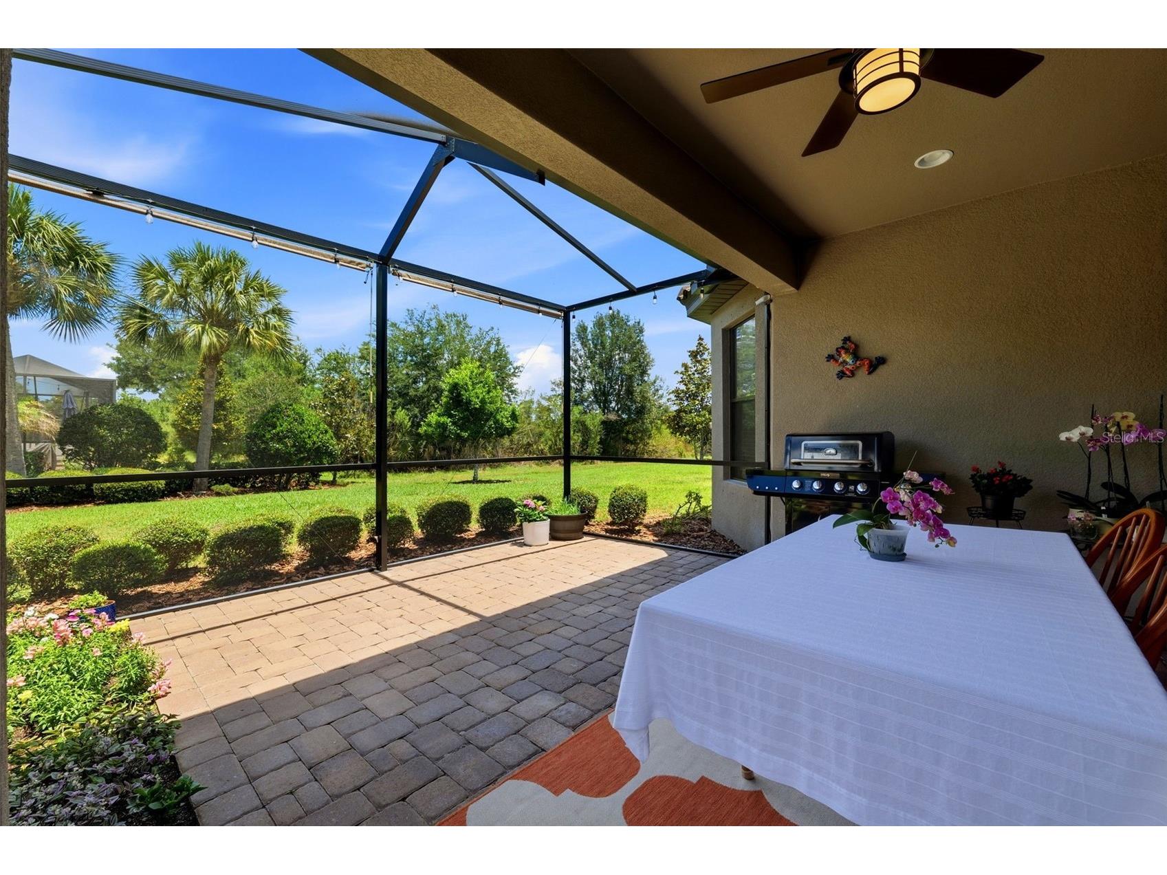 8412 Alberata Vista Drive Tampa FL 33647 TB8512449 image3