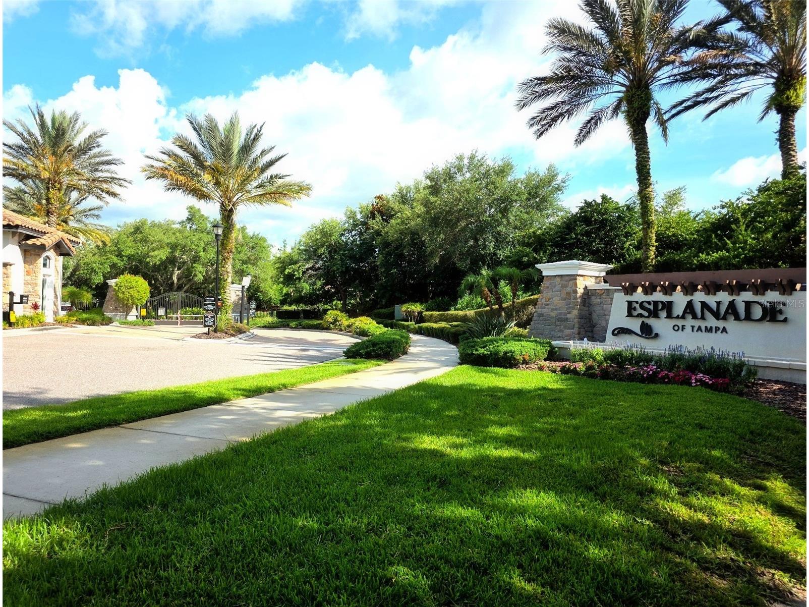 8412 Alberata Vista Drive Tampa FL 33647 TB8512449 image32