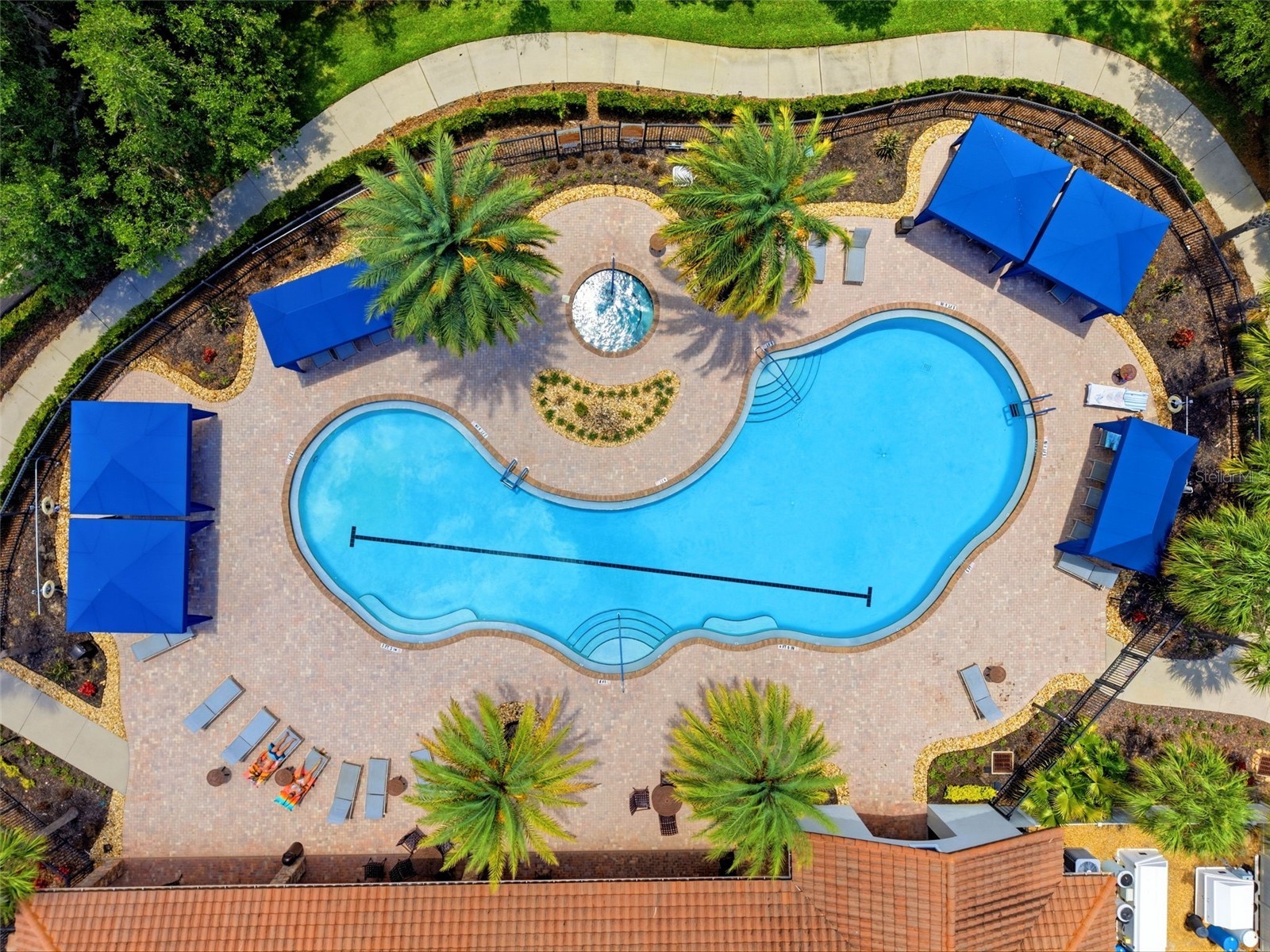 8412 Alberata Vista Drive Tampa FL 33647 TB8512449 image33