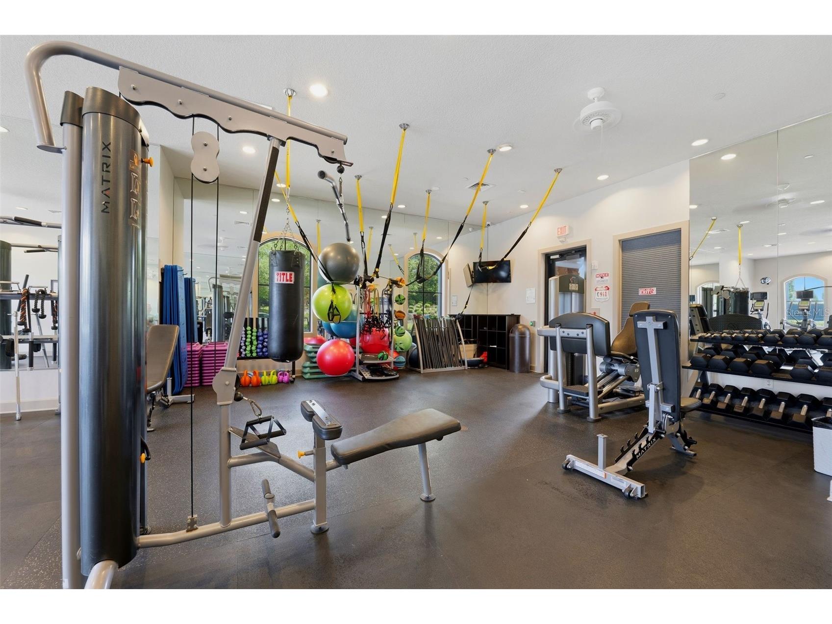 8412 Alberata Vista Drive Tampa FL 33647 TB8512449 image39