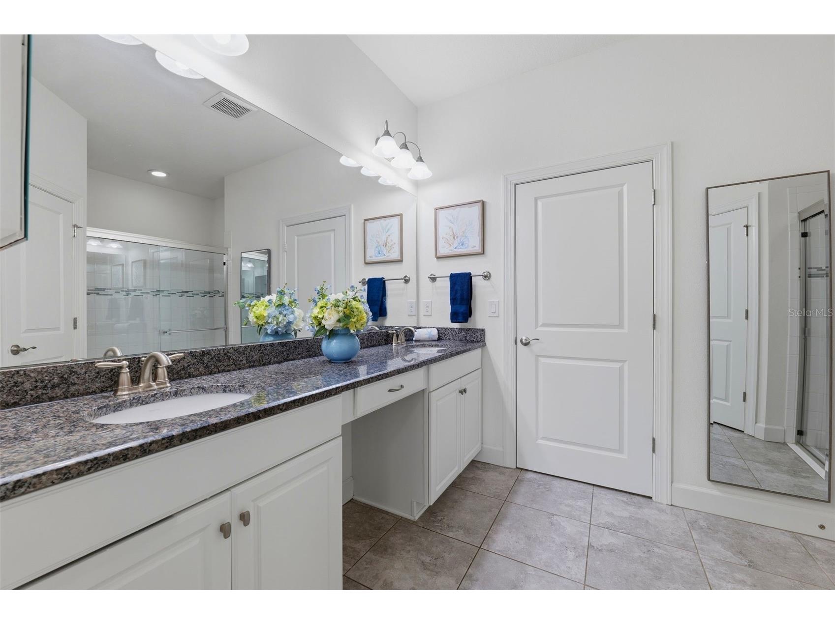 8412 Alberata Vista Drive Tampa FL 33647 TB8512449 image8