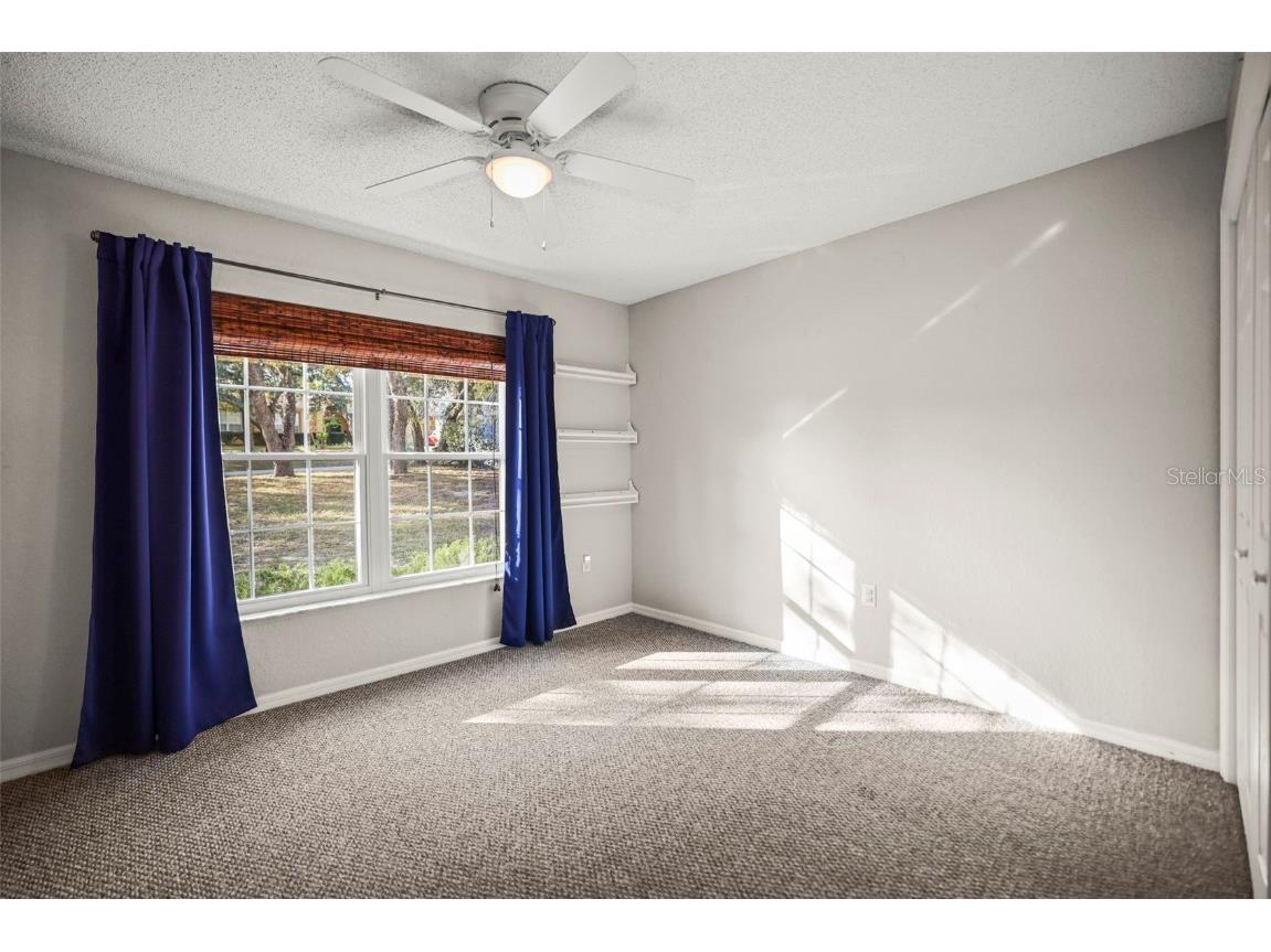 8412 Christopher Lane Weeki Wachee FL 34613 TB8453456 image24