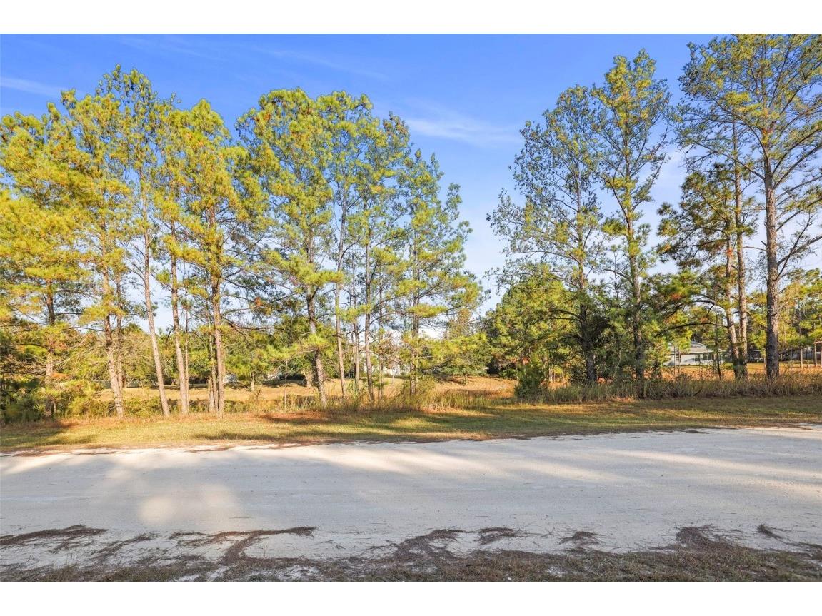 8412 Christopher Lane Weeki Wachee FL 34613 TB8453456 image43