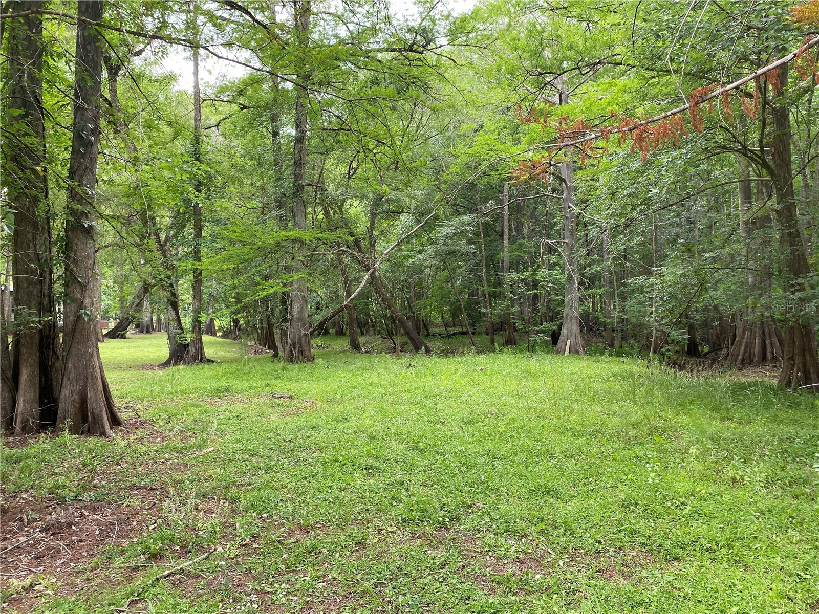 8412 Cr 647 Bushnell FL 33513 - WITHLACOOCHEE RIVER G5099791 image8