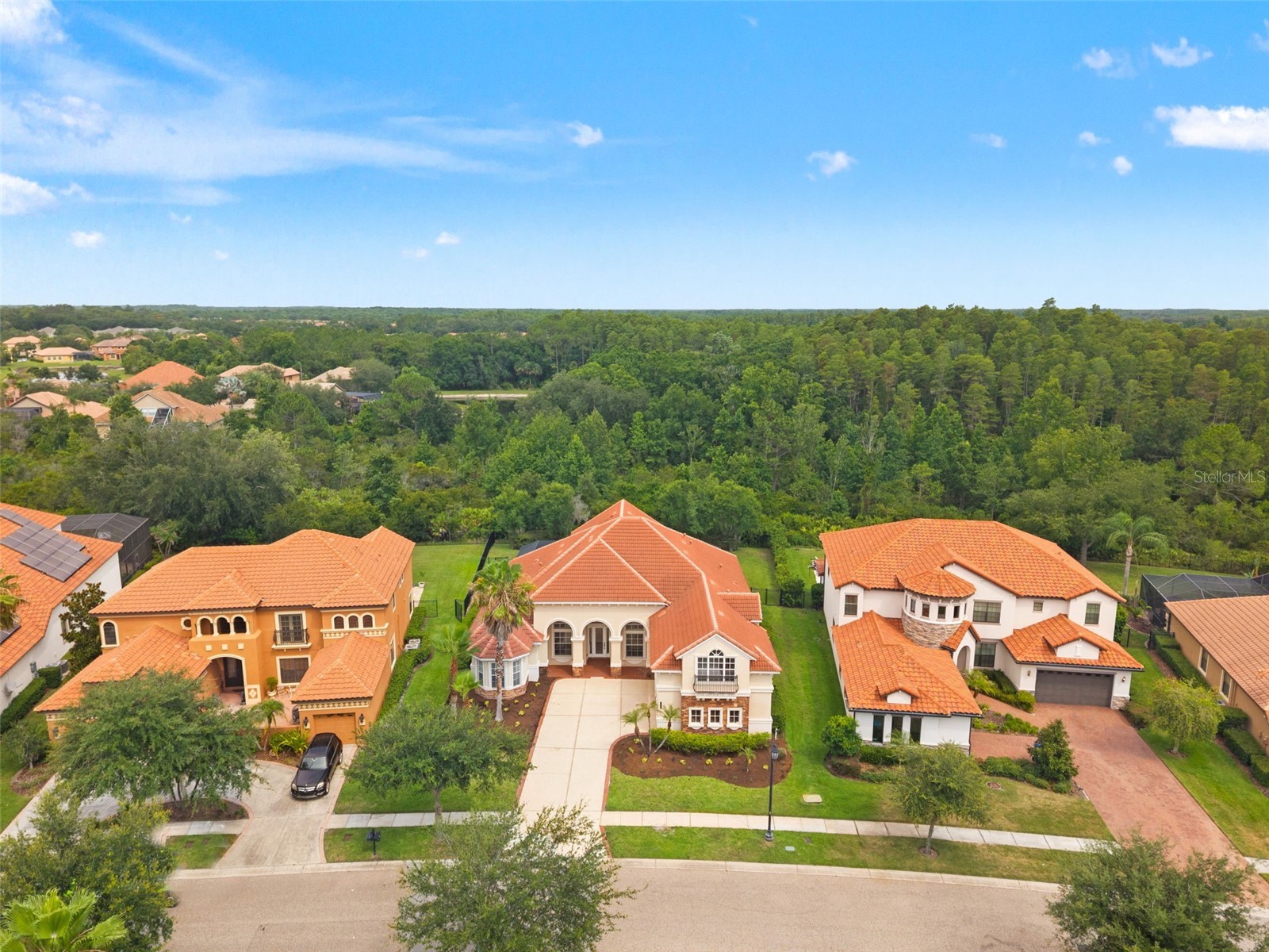 8412 Dunham Station Drive Tampa FL 33647 TB8520749 image91