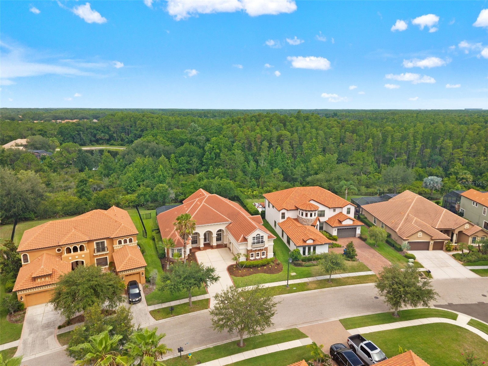 8412 Dunham Station Drive Tampa FL 33647 TB8520749 image92