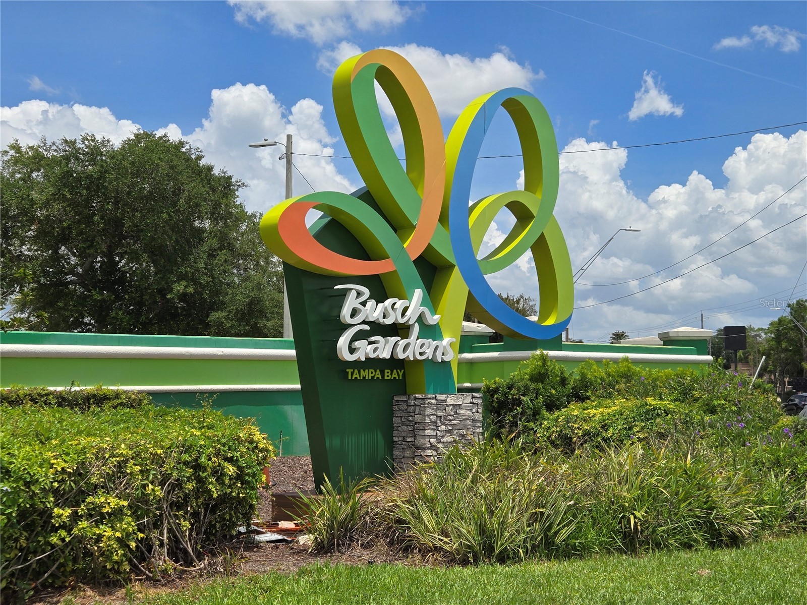 8412 N Seminole Avenue Tampa FL 33604 TB8479093 image13