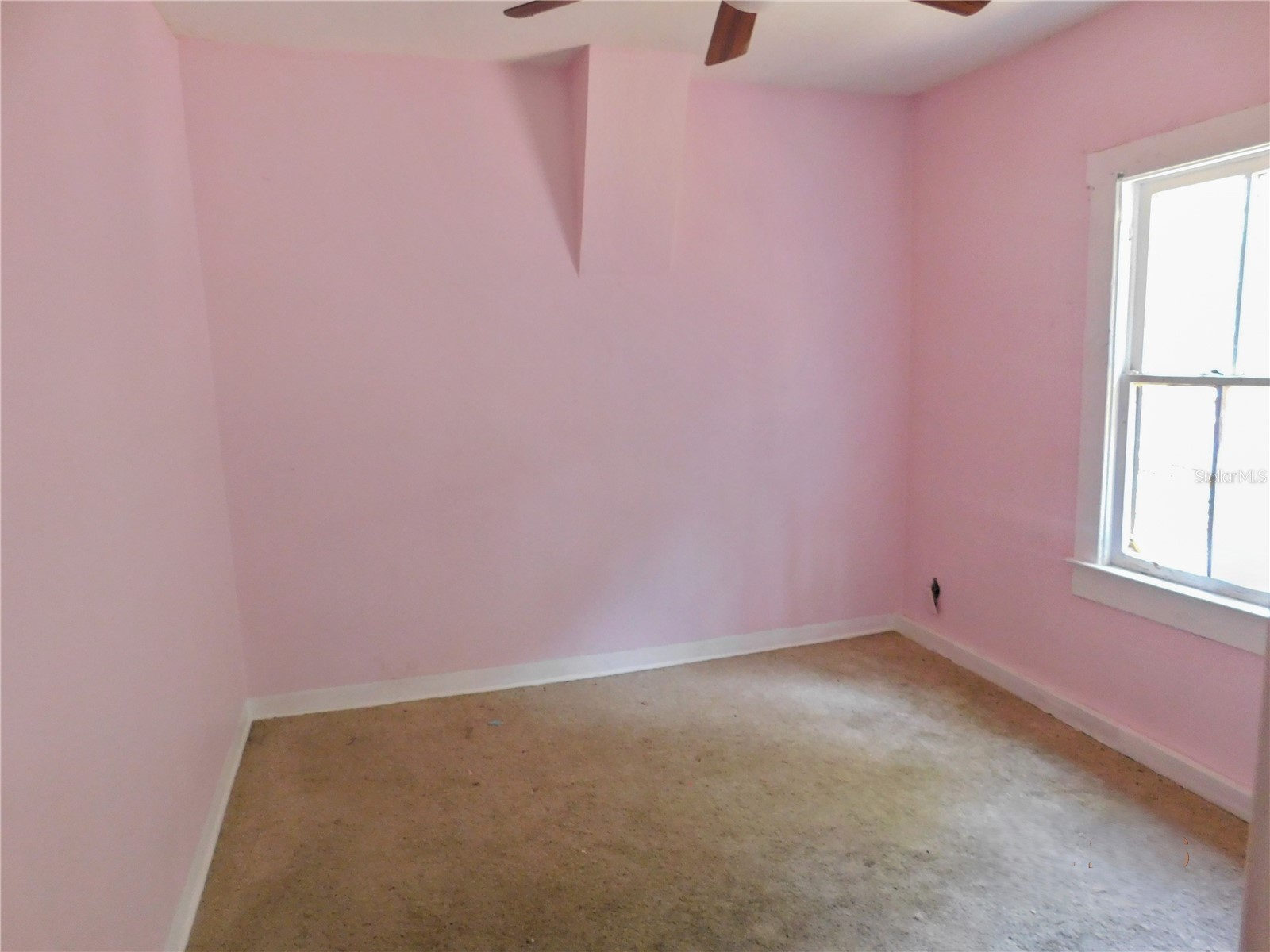 8412 N Seminole Avenue Tampa FL 33604 TB8479093 image5
