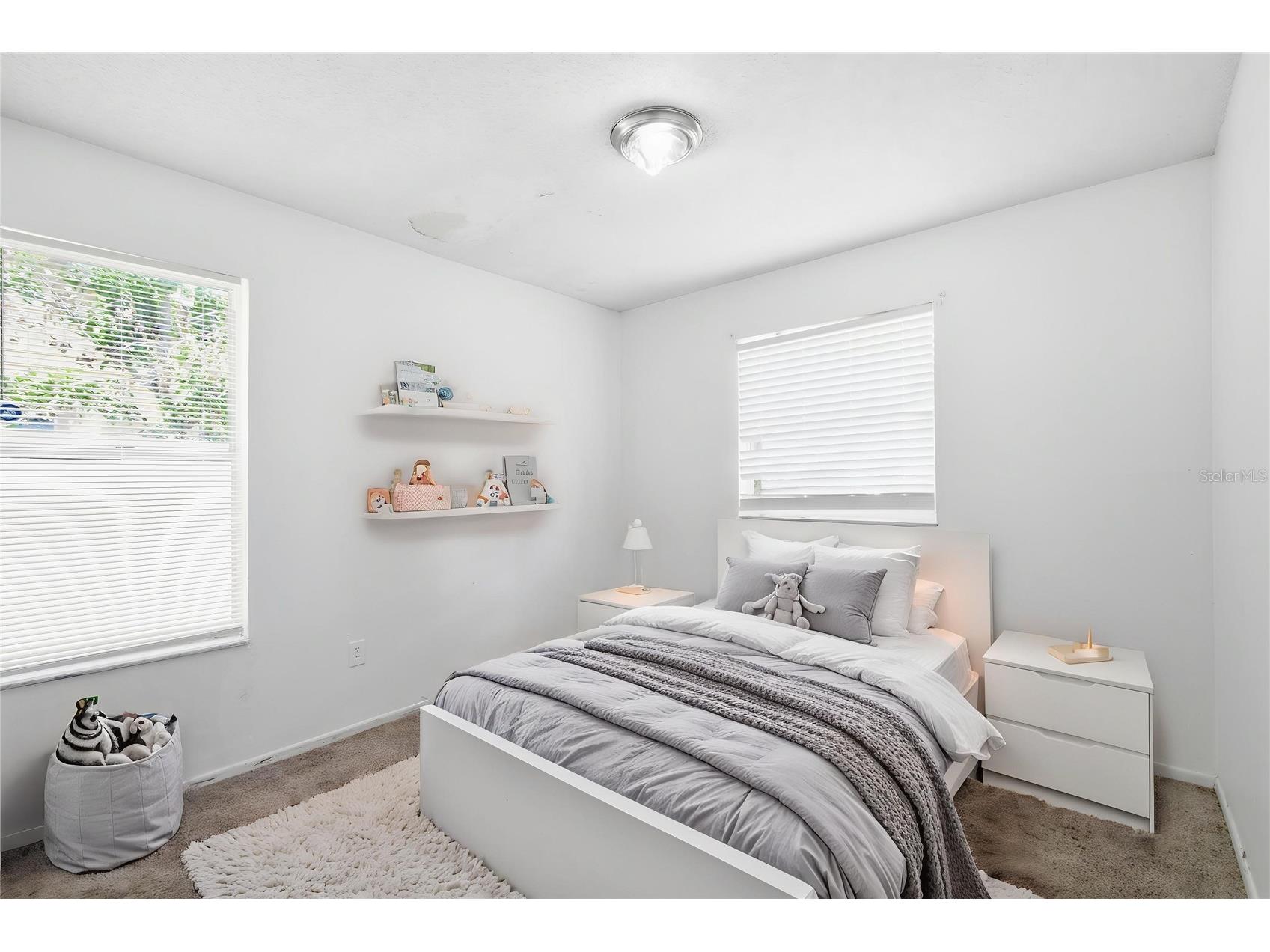 8412 Renald Boulevard Tampa FL 33637 O6408960 image11