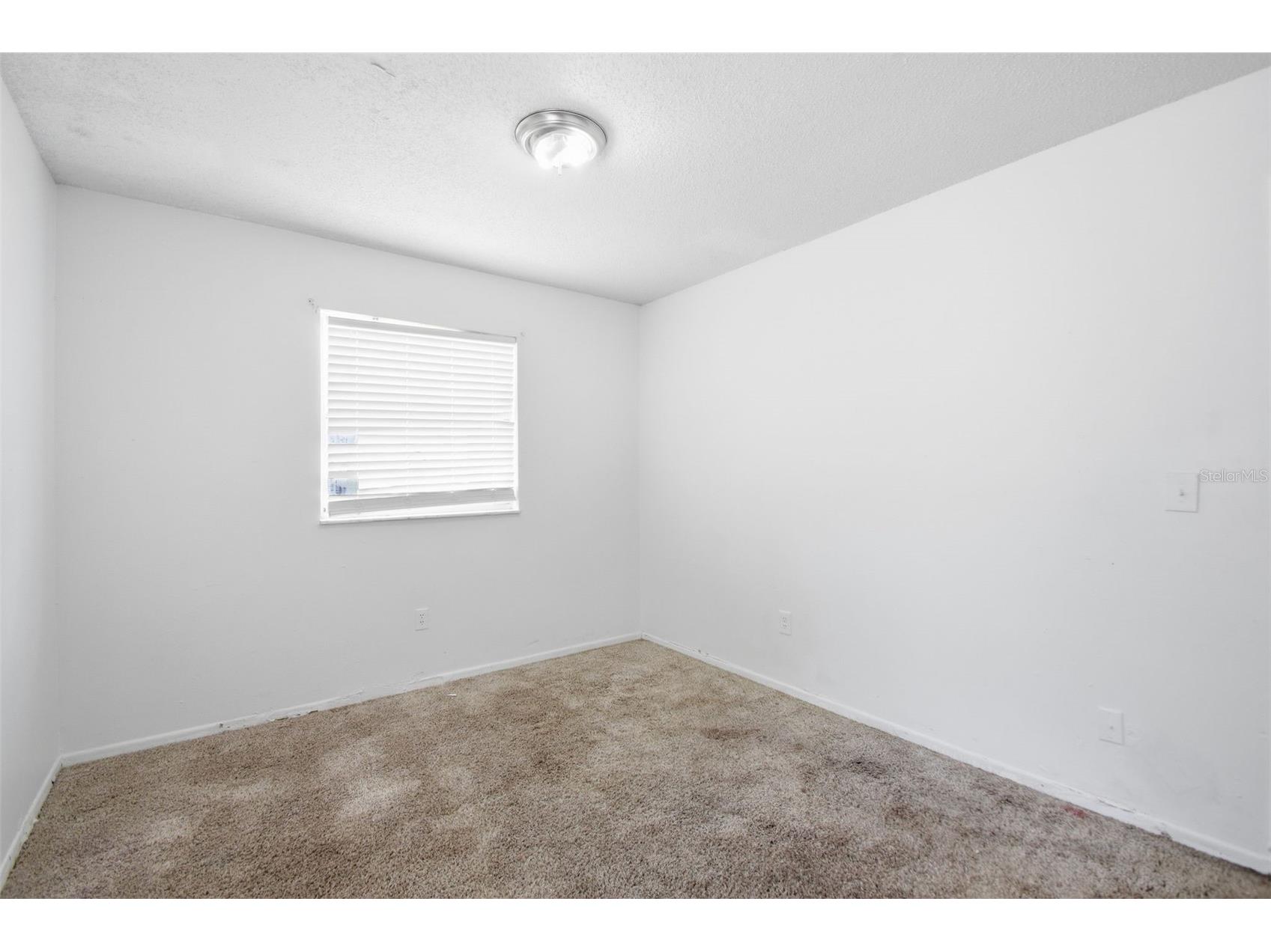 8412 Renald Boulevard Tampa FL 33637 O6408960 image28