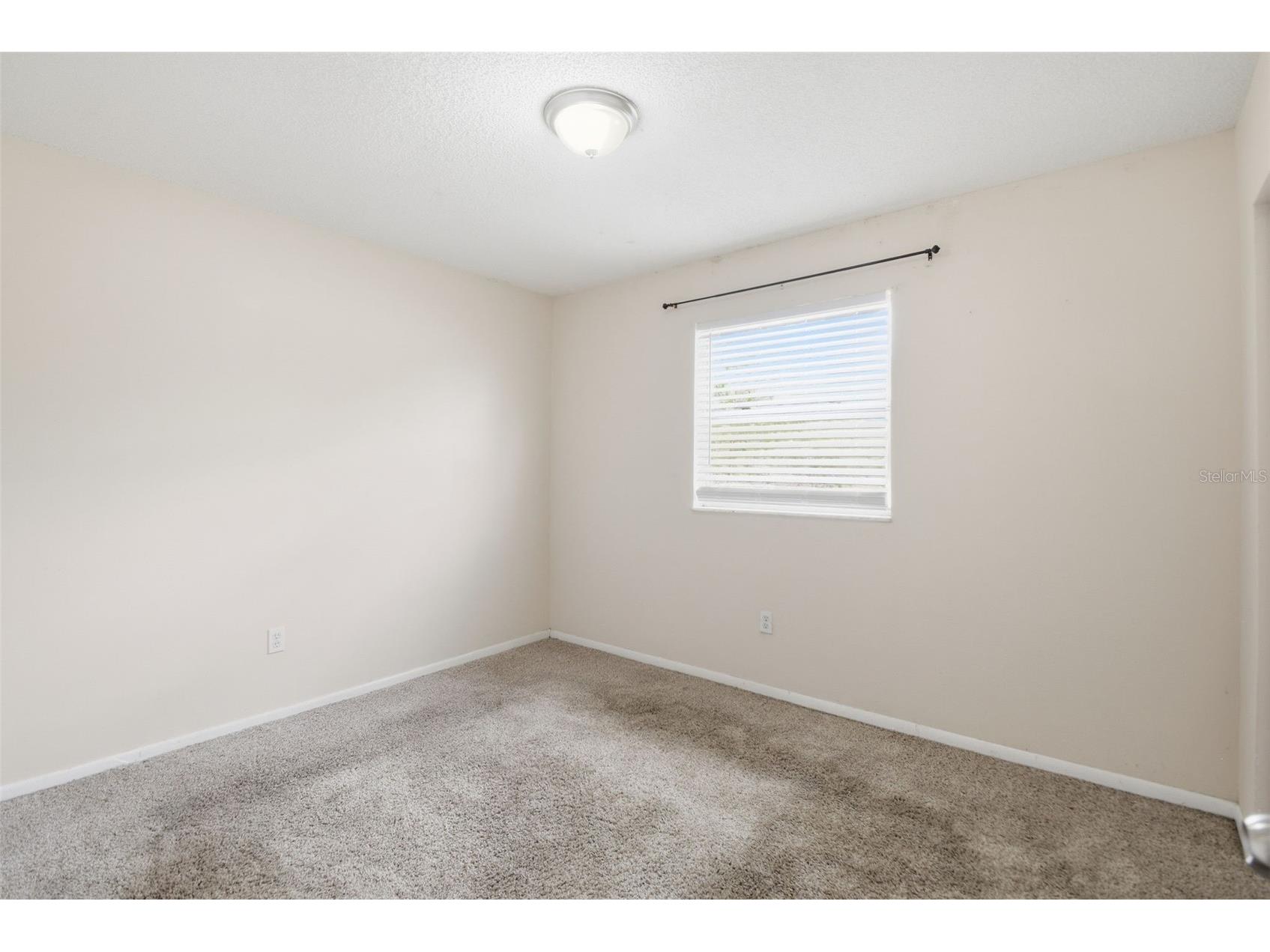 8412 Renald Boulevard Tampa FL 33637 O6408960 image30