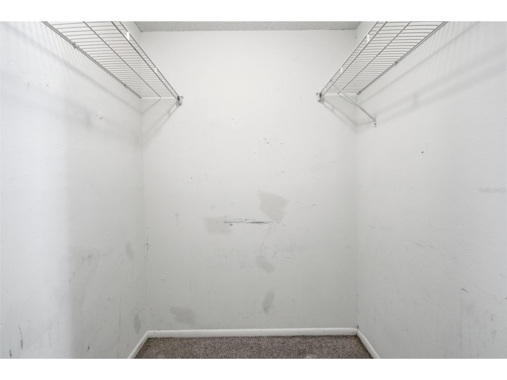 8412 Renald Boulevard Tampa FL 33637 O6408960 image39