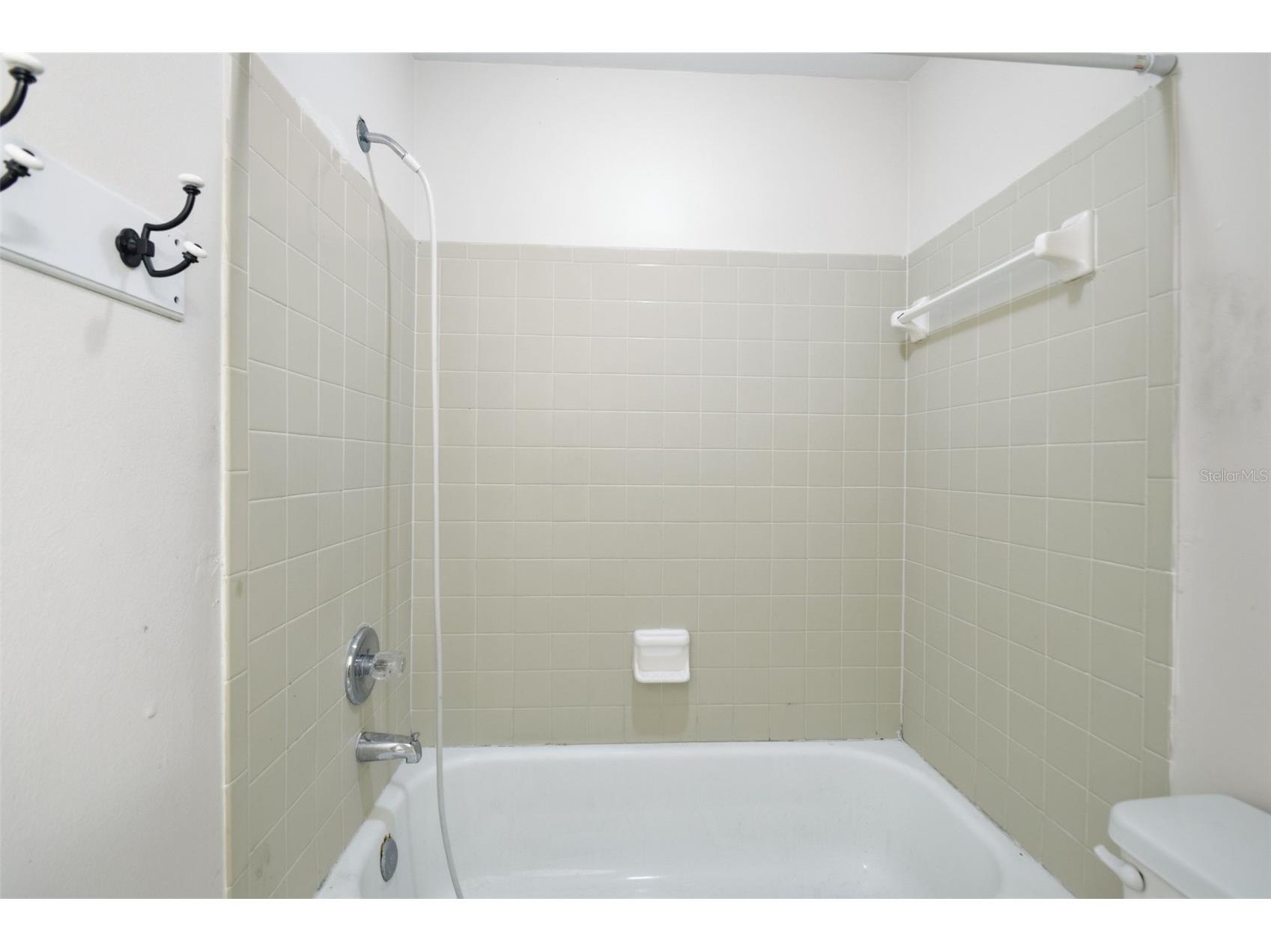 8412 Renald Boulevard Tampa FL 33637 O6408960 image43