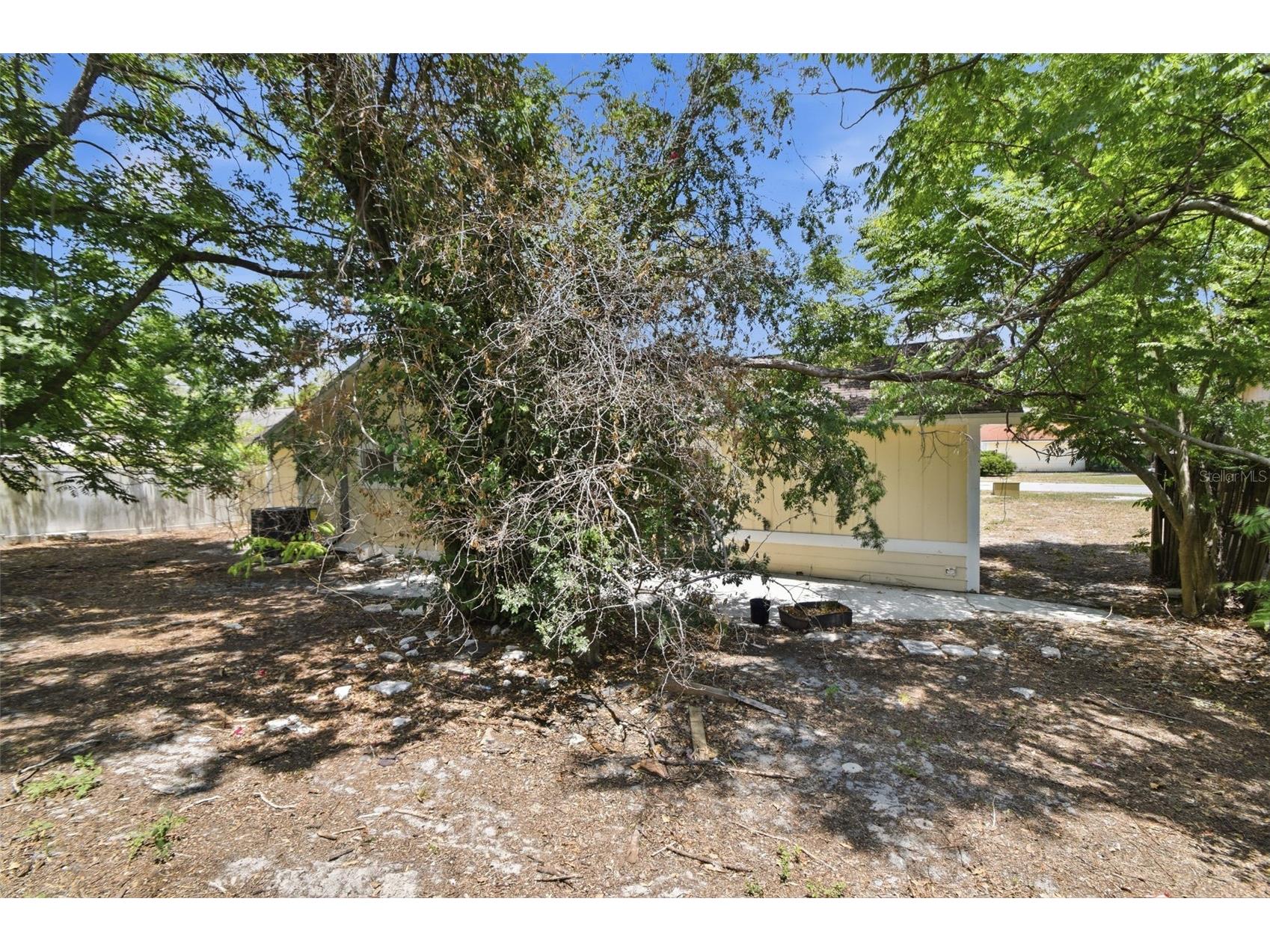 8412 Renald Boulevard Tampa FL 33637 O6408960 image46