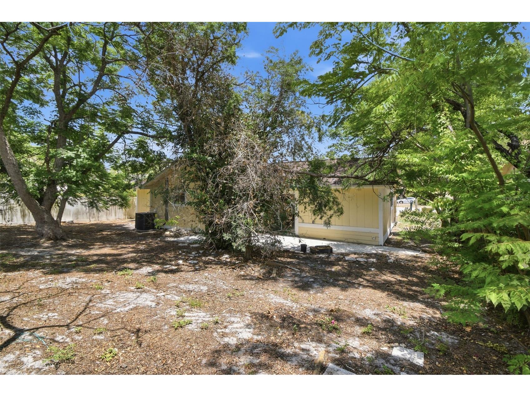 8412 Renald Boulevard Tampa FL 33637 O6408960 image51