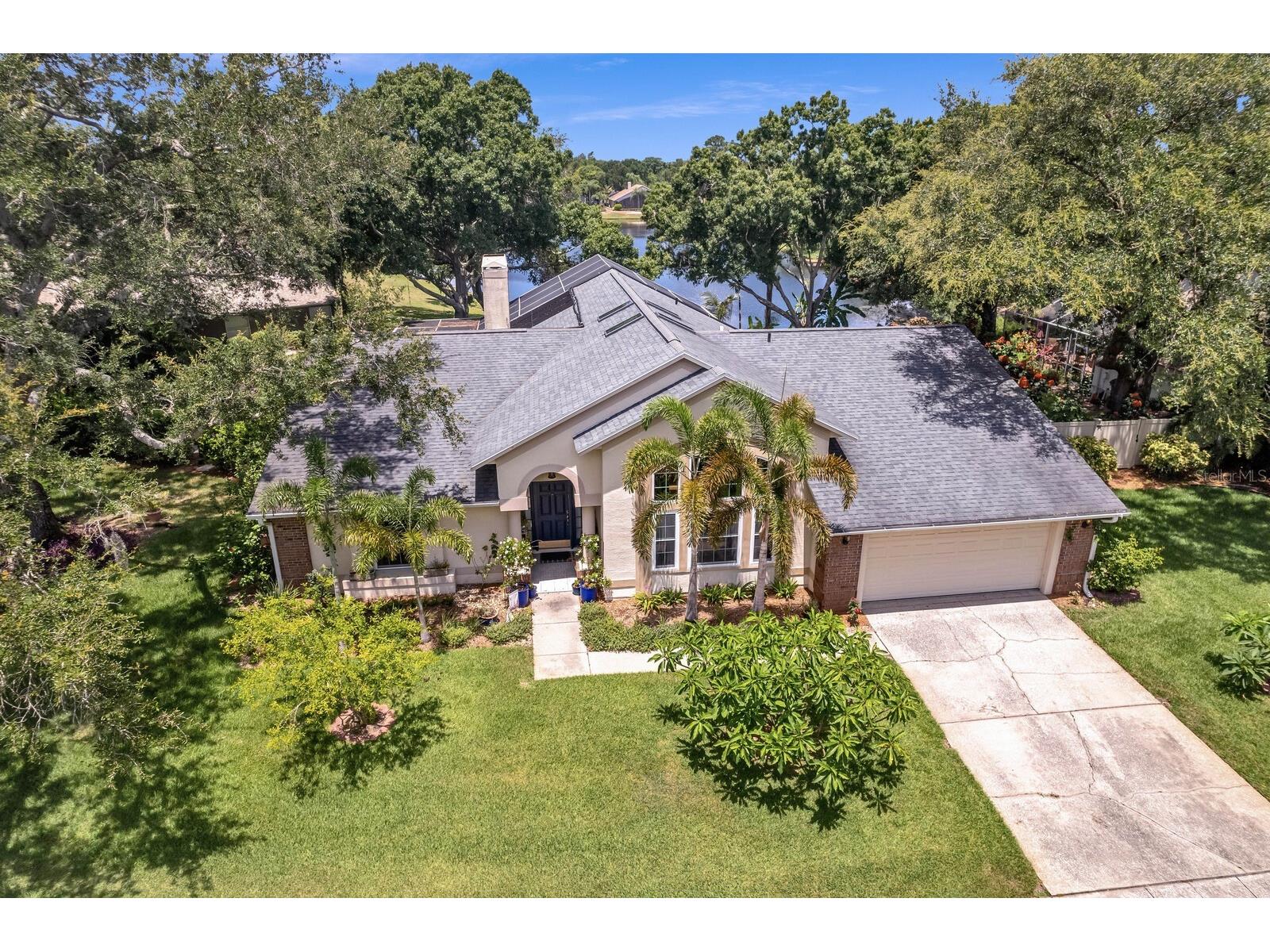 8412 Ridgebrook Circle Odessa FL 33556 TB8523754 image19