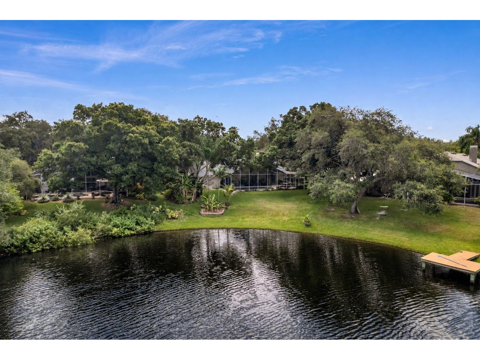 8412 Ridgebrook Circle Odessa FL 33556 TB8523754 image21