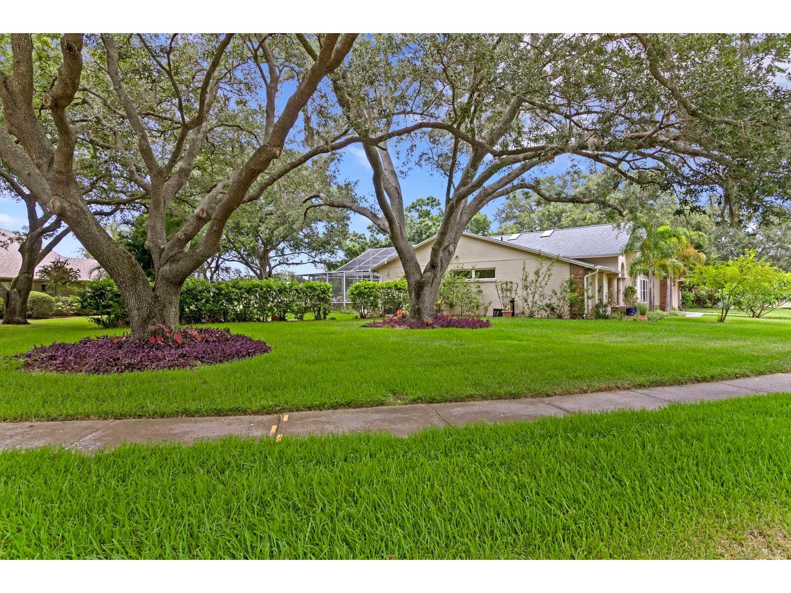 8412 Ridgebrook Circle Odessa FL 33556 TB8523754 image22
