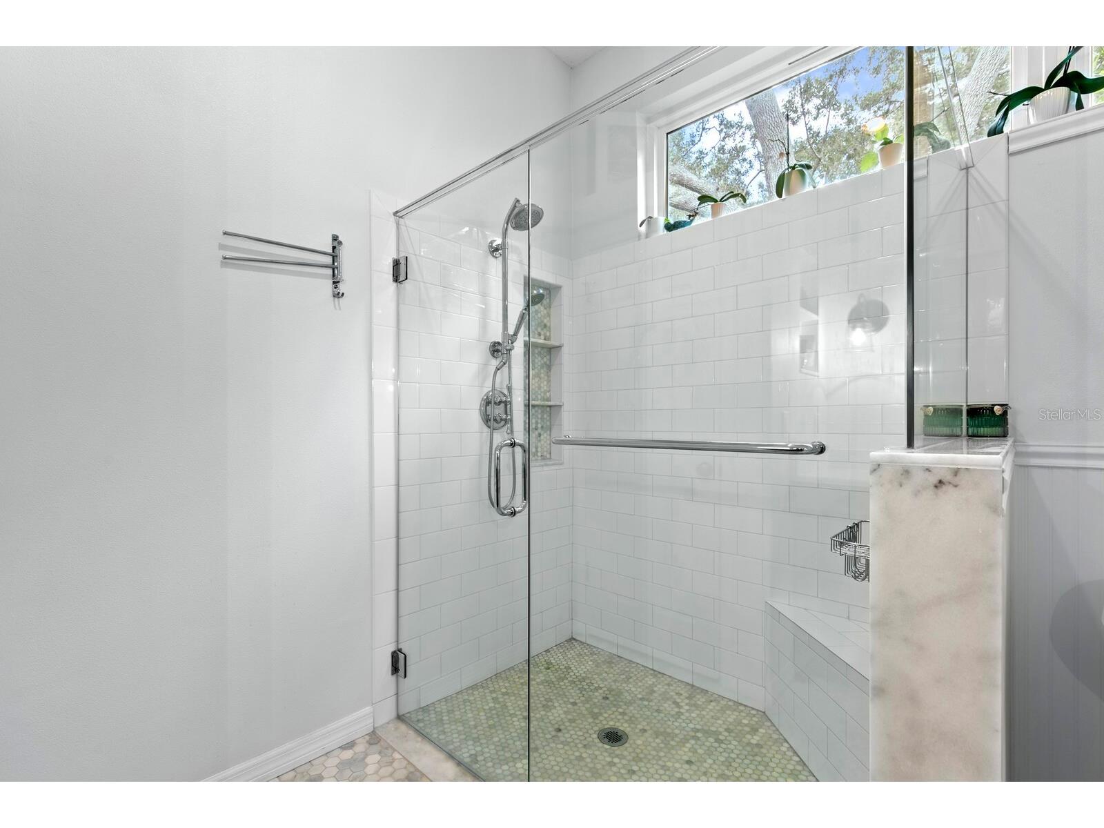 8412 Ridgebrook Circle Odessa FL 33556 TB8523754 image47