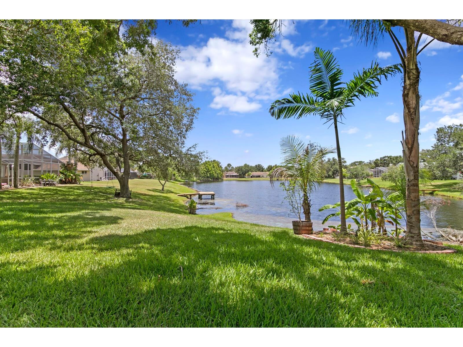 8412 Ridgebrook Circle Odessa FL 33556 TB8523754 image58