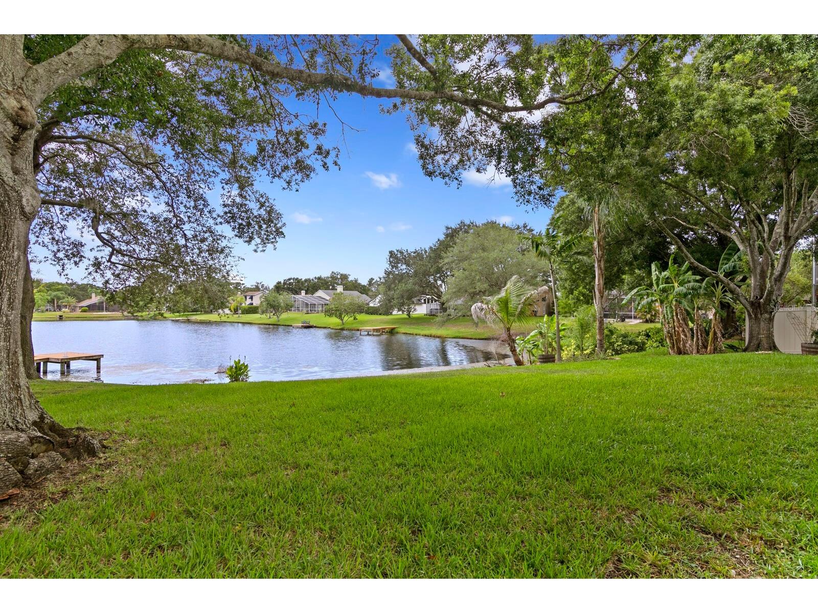 8412 Ridgebrook Circle Odessa FL 33556 TB8523754 image61
