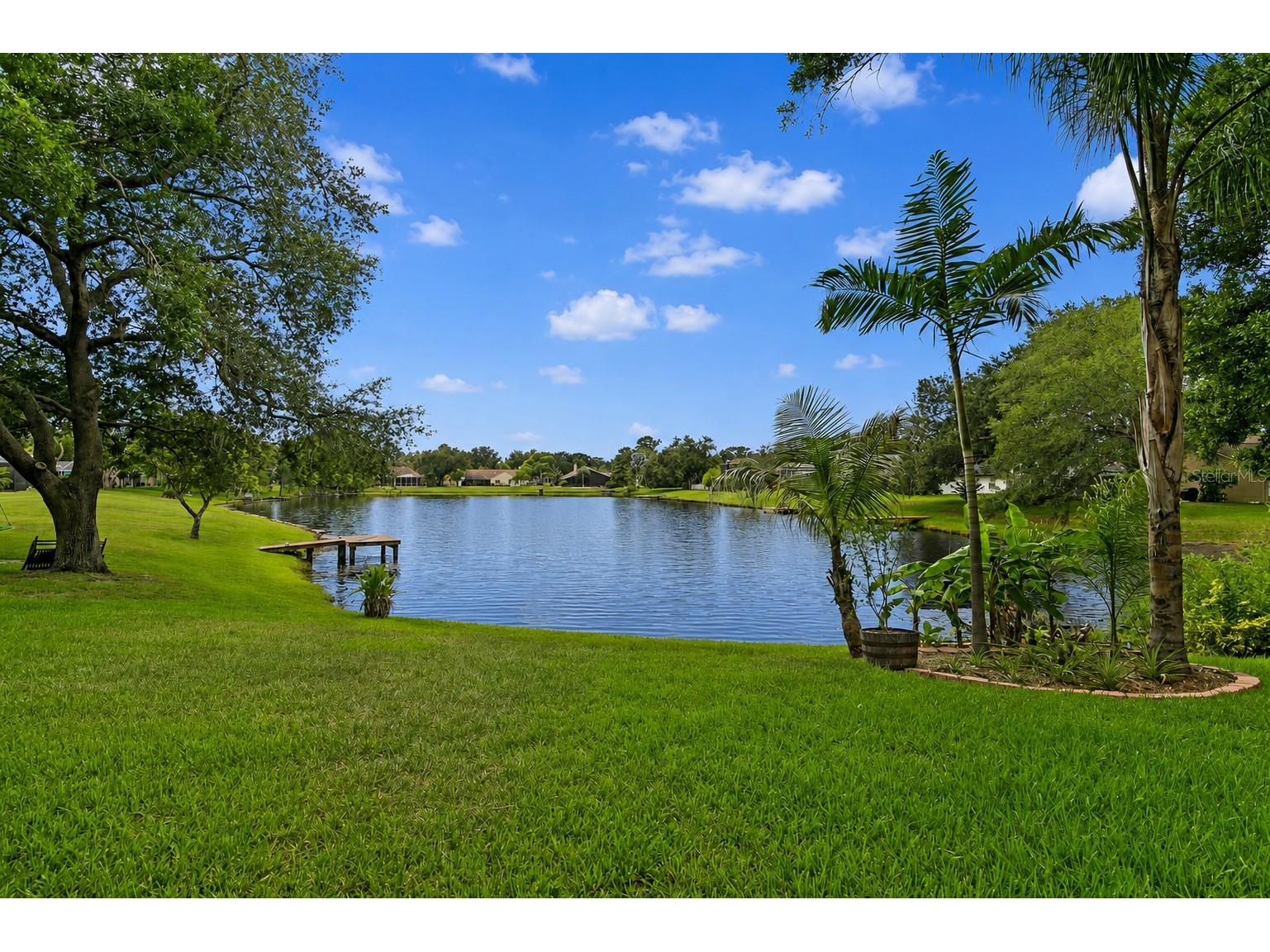 8412 Ridgebrook Circle Odessa FL 33556 TB8523754 image63