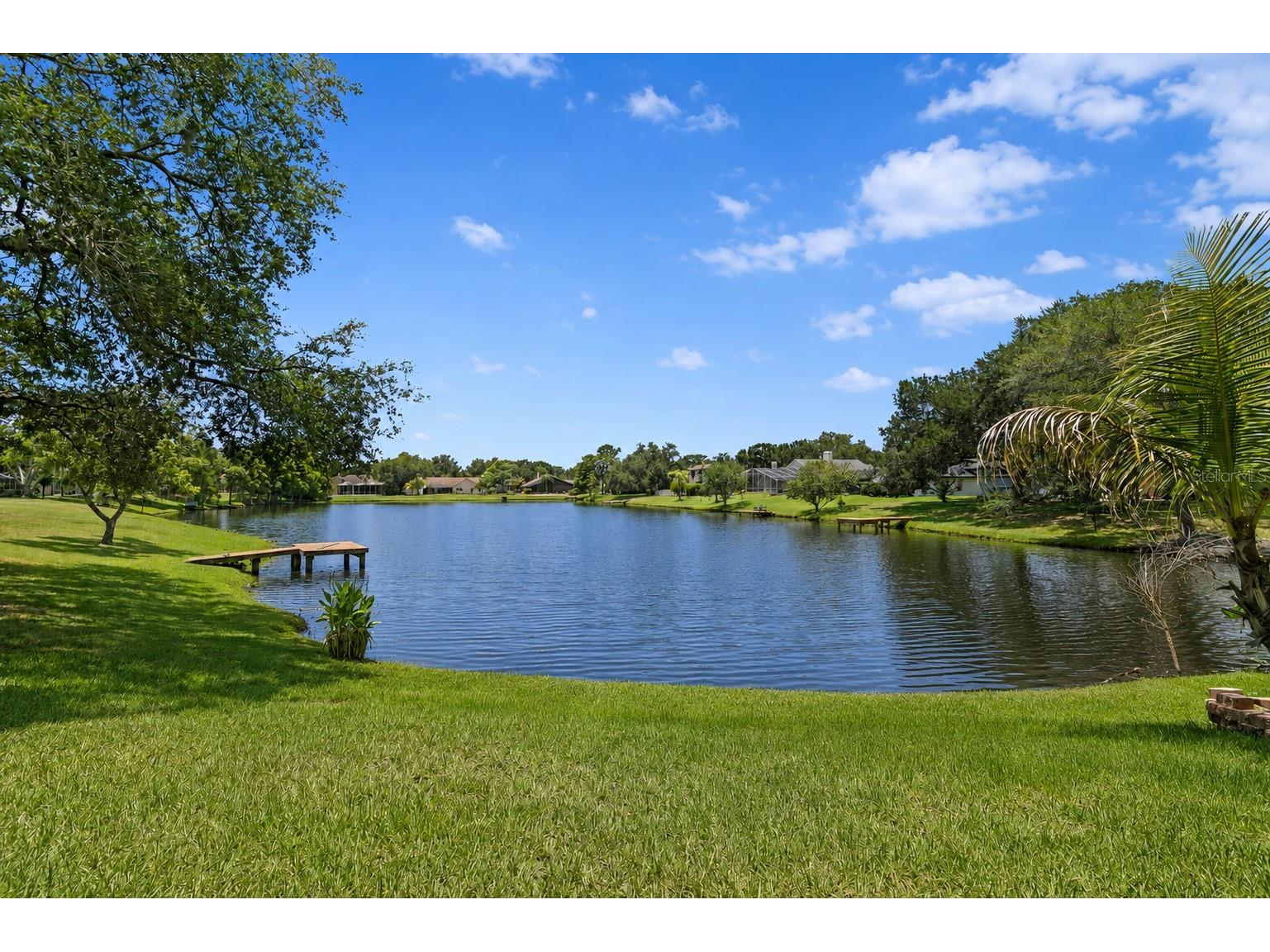 8412 Ridgebrook Circle Odessa FL 33556 TB8523754 image64