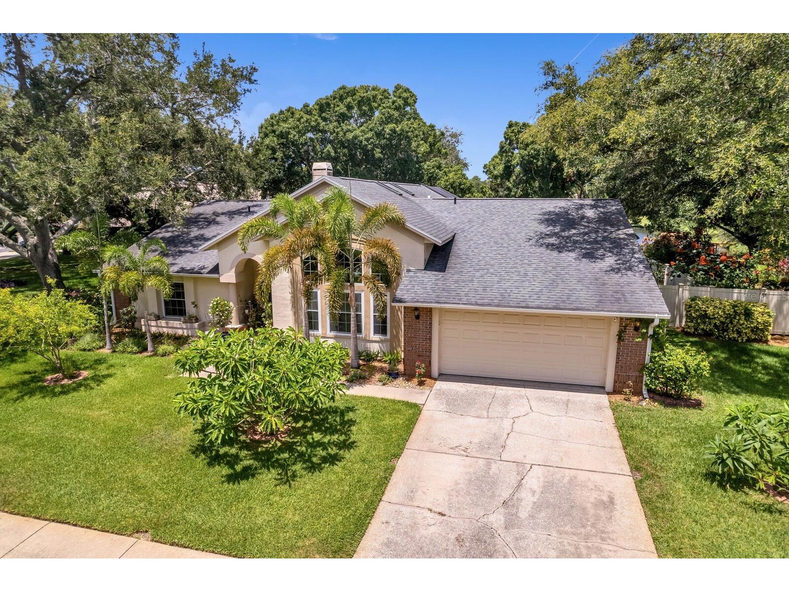 8412 Ridgebrook Circle Odessa FL 33556 TB8523754 image67