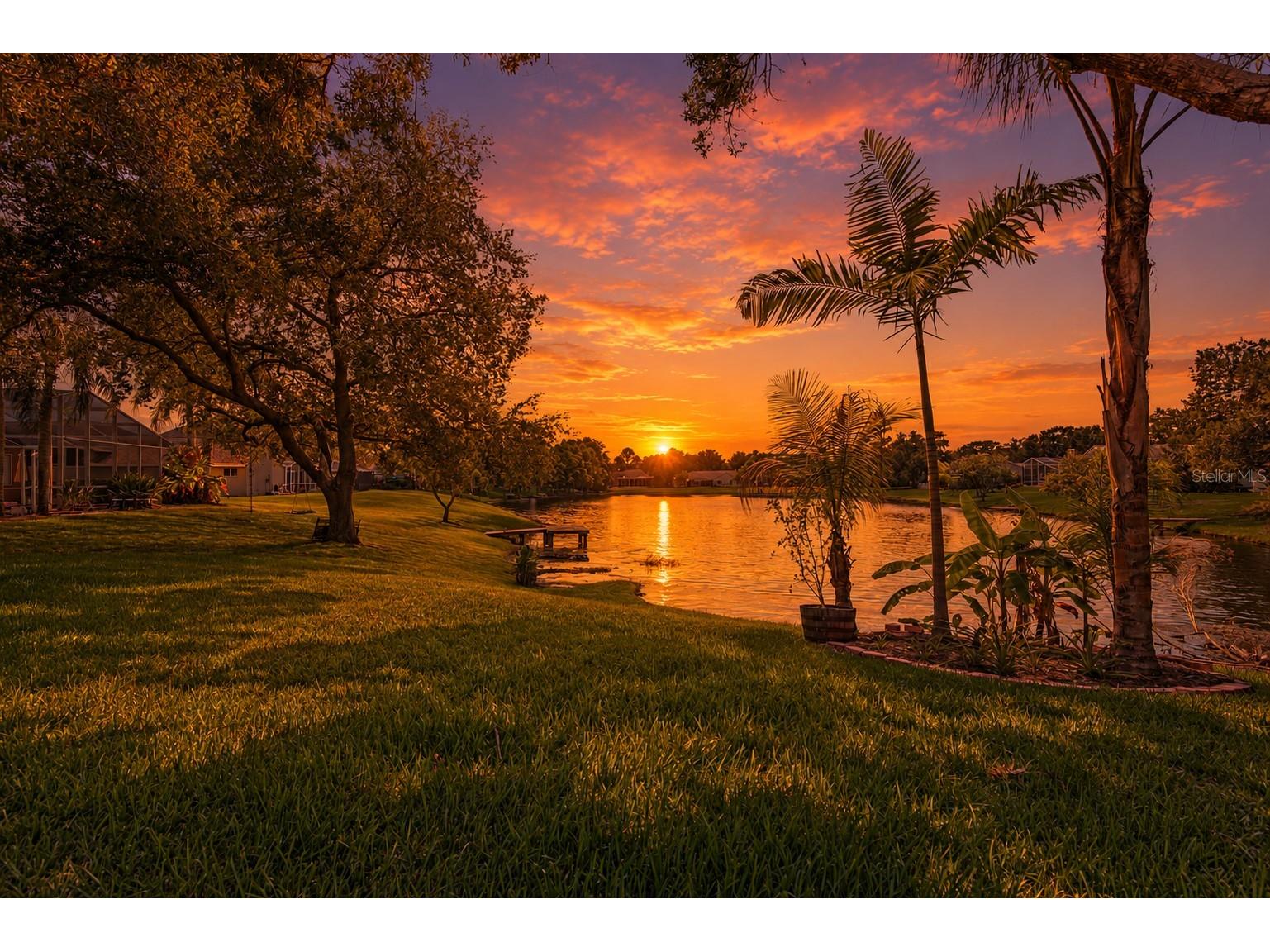 8412 Ridgebrook Circle Odessa FL 33556 TB8523754 image7