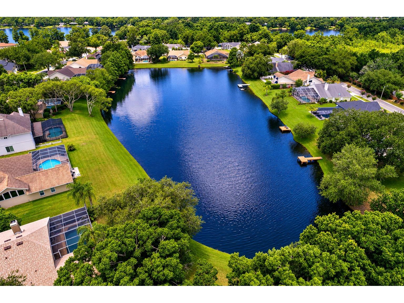8412 Ridgebrook Circle Odessa FL 33556 TB8523754 image70
