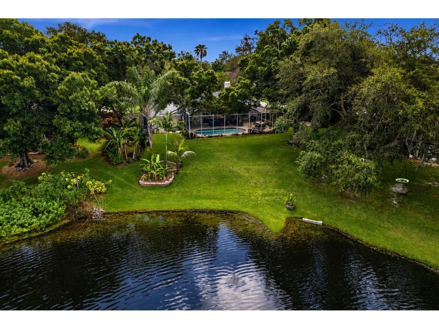 8412 Ridgebrook Circle Odessa FL 33556 TB8523754 image71