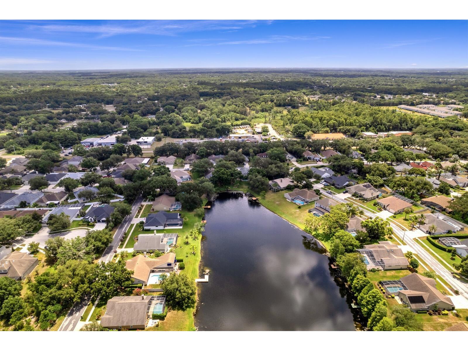 8412 Ridgebrook Circle Odessa FL 33556 TB8523754 image74