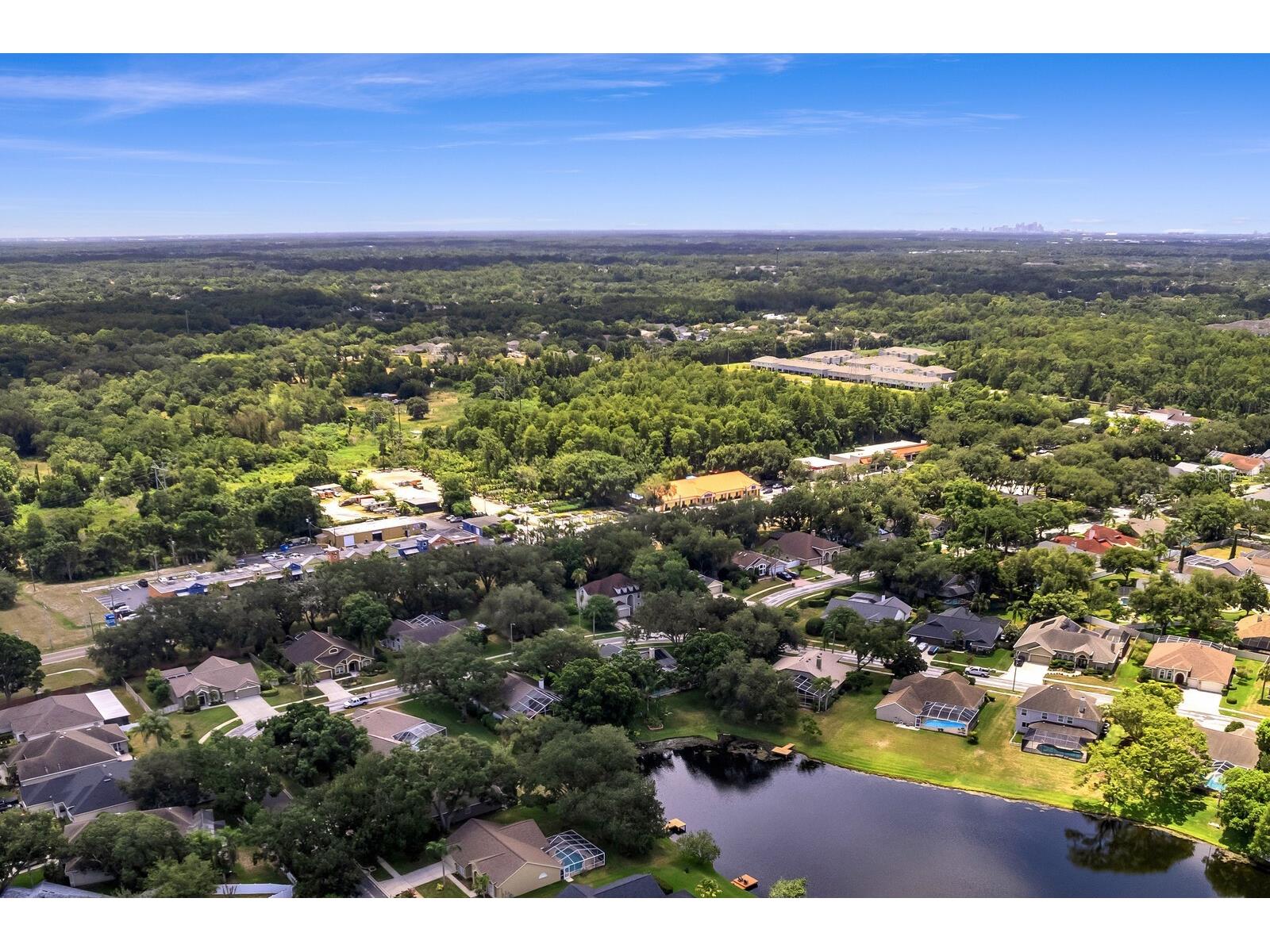 8412 Ridgebrook Circle Odessa FL 33556 TB8523754 image75