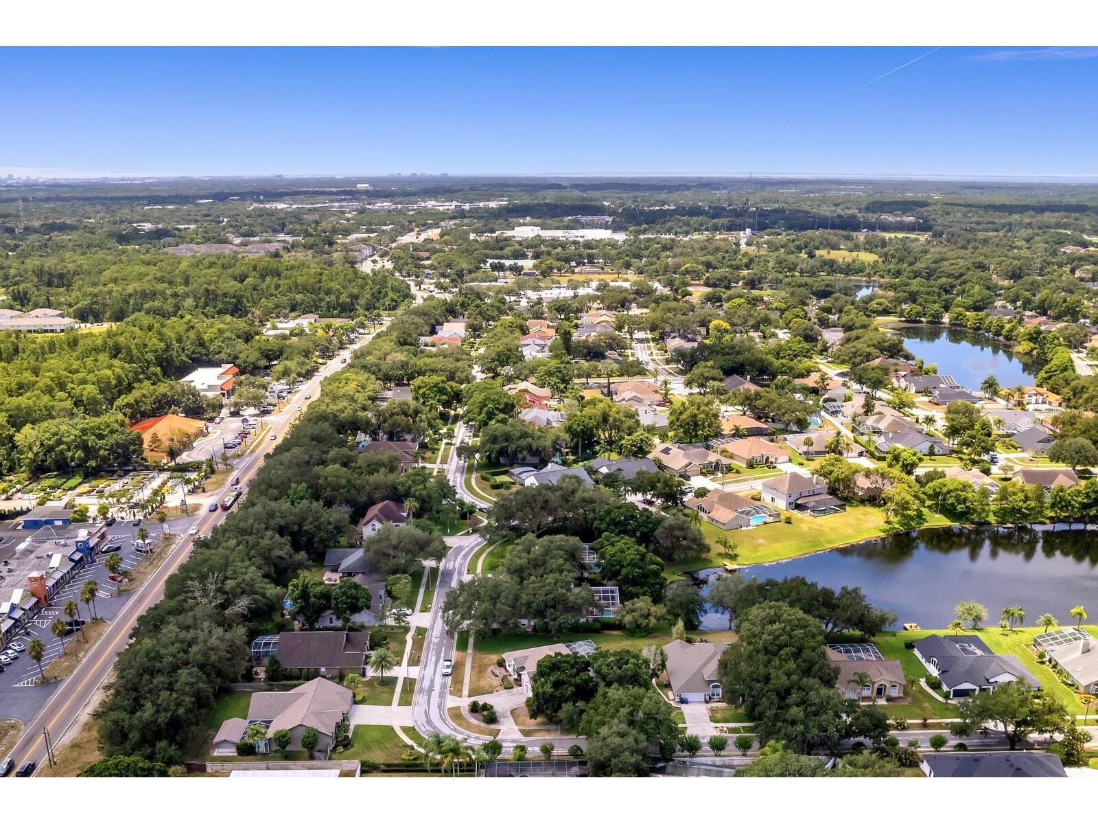8412 Ridgebrook Circle Odessa FL 33556 TB8523754 image76