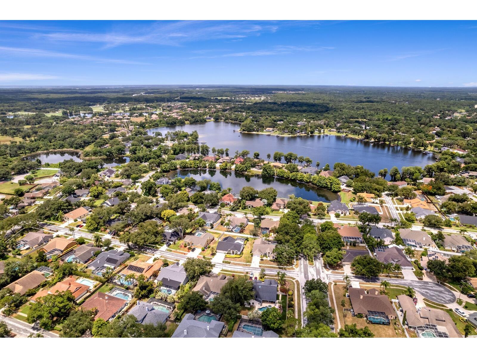 8412 Ridgebrook Circle Odessa FL 33556 TB8523754 image78