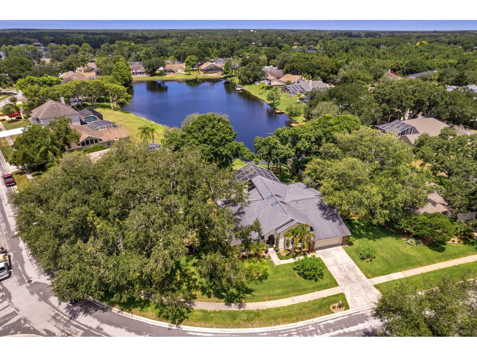 8412 Ridgebrook Circle Odessa FL 33556 TB8523754 image80