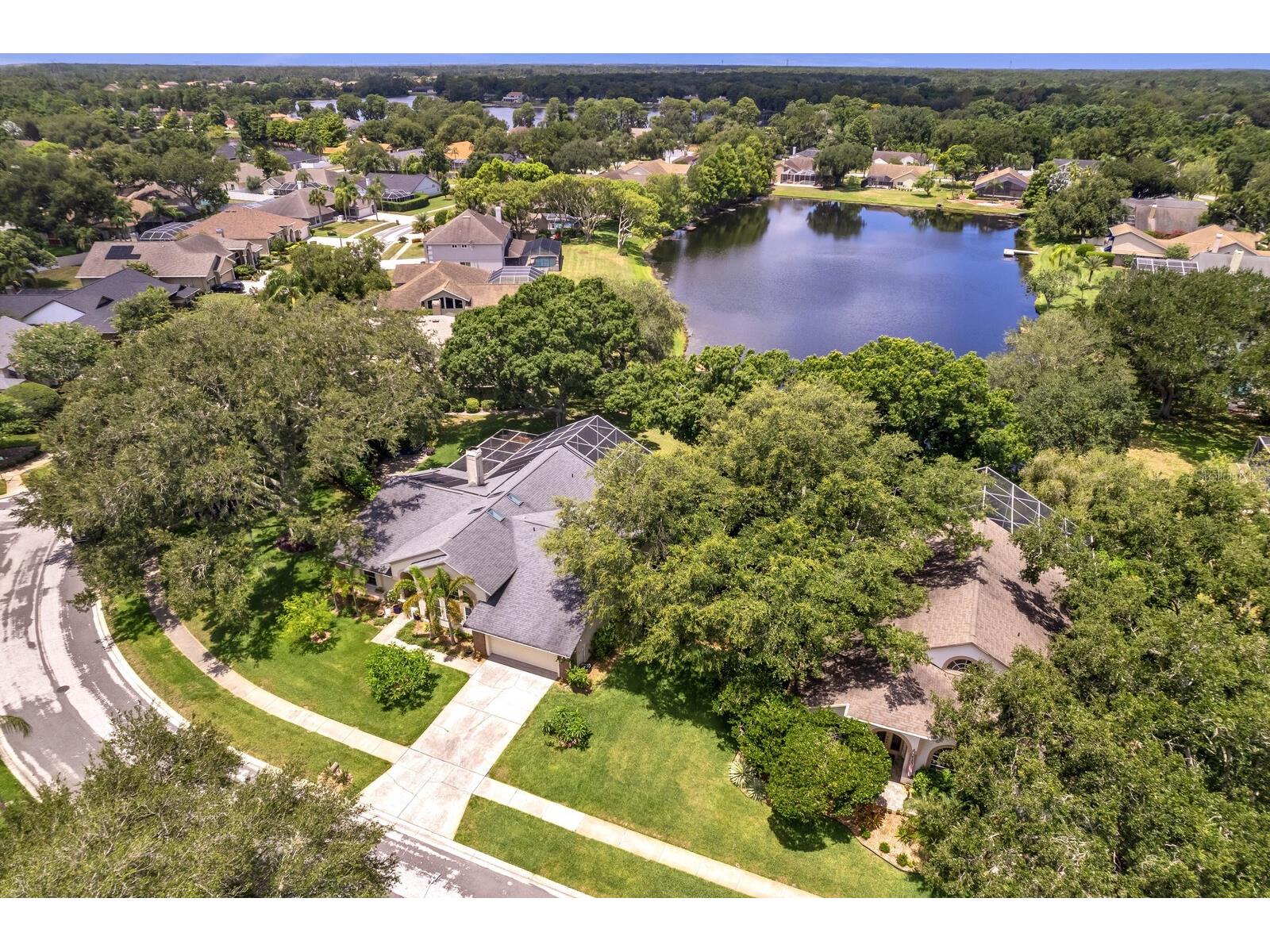 8412 Ridgebrook Circle Odessa FL 33556 TB8523754 image82