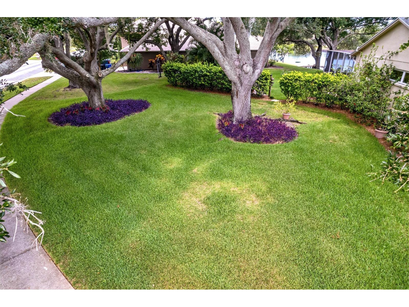 8412 Ridgebrook Circle Odessa FL 33556 TB8523754 image83