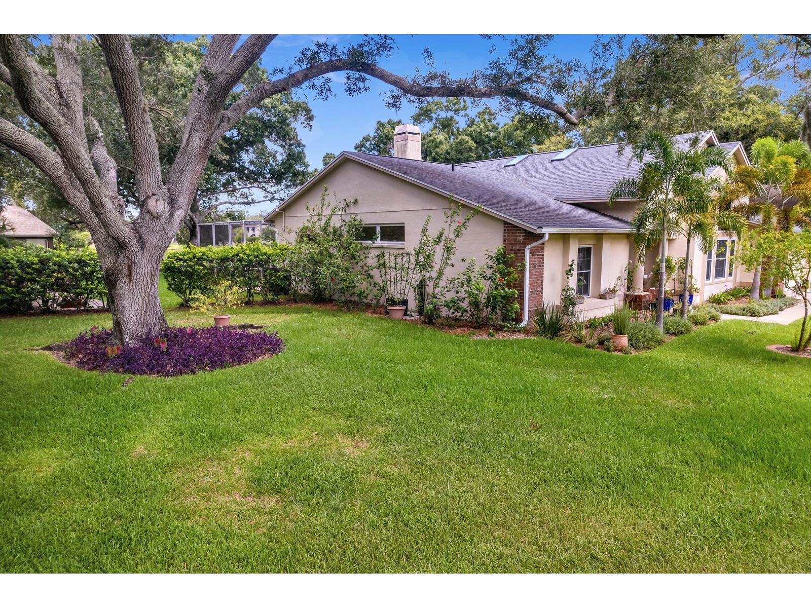 8412 Ridgebrook Circle Odessa FL 33556 TB8523754 image84