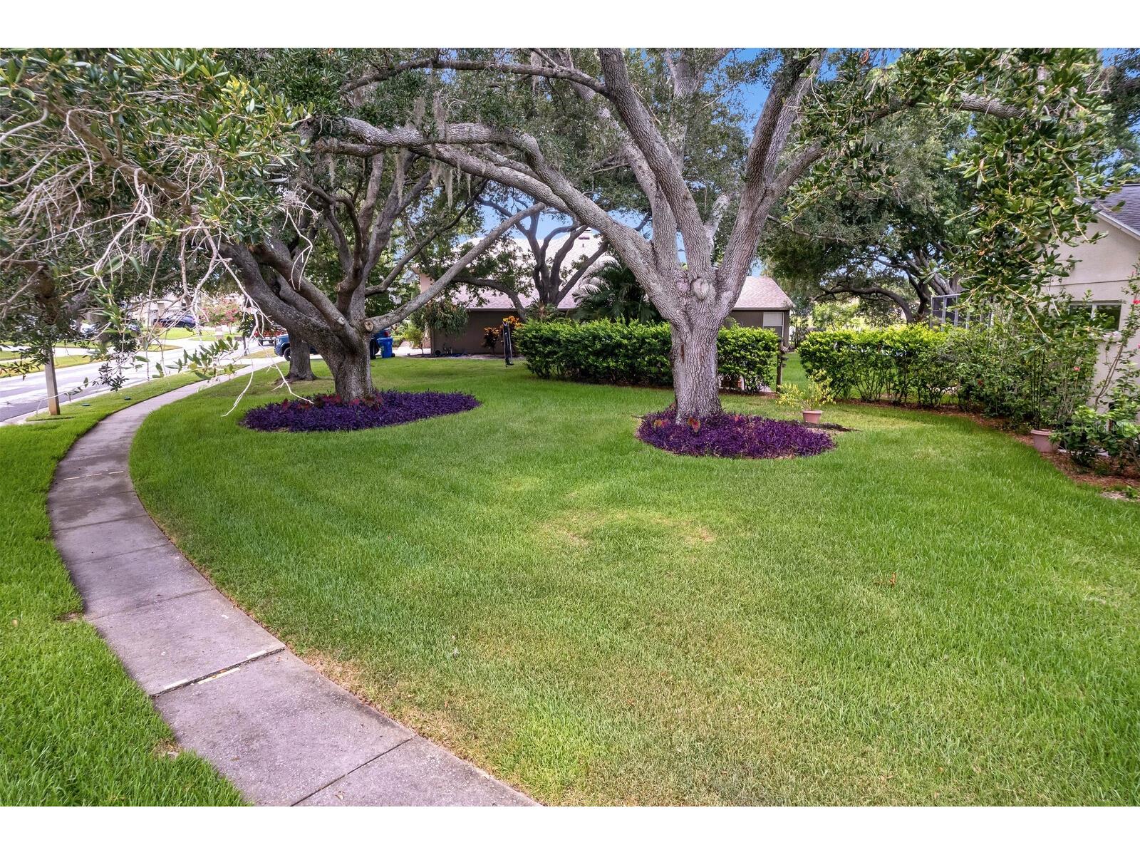 8412 Ridgebrook Circle Odessa FL 33556 TB8523754 image85
