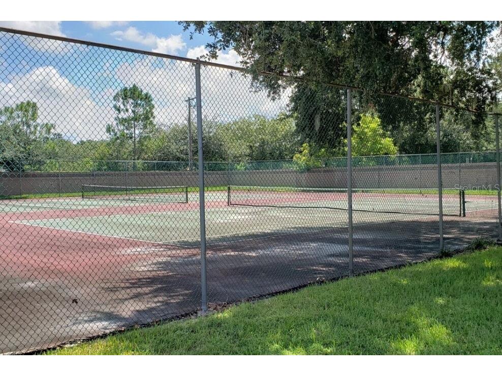 8412 Ridgebrook Circle Odessa FL 33556 TB8523754 image88