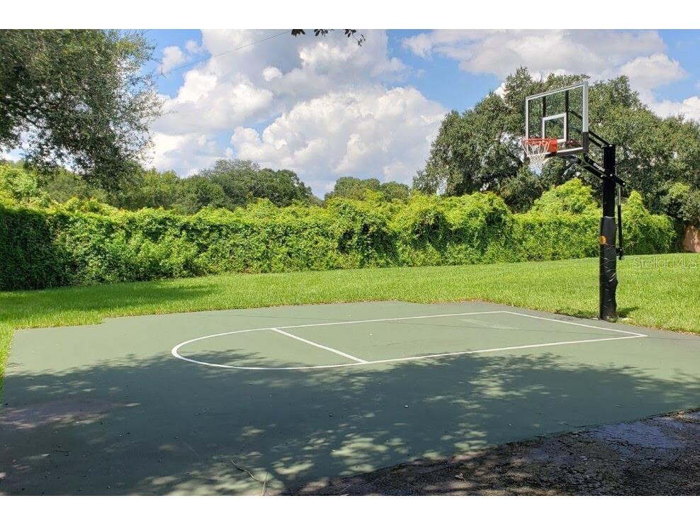 8412 Ridgebrook Circle Odessa FL 33556 TB8523754 image95