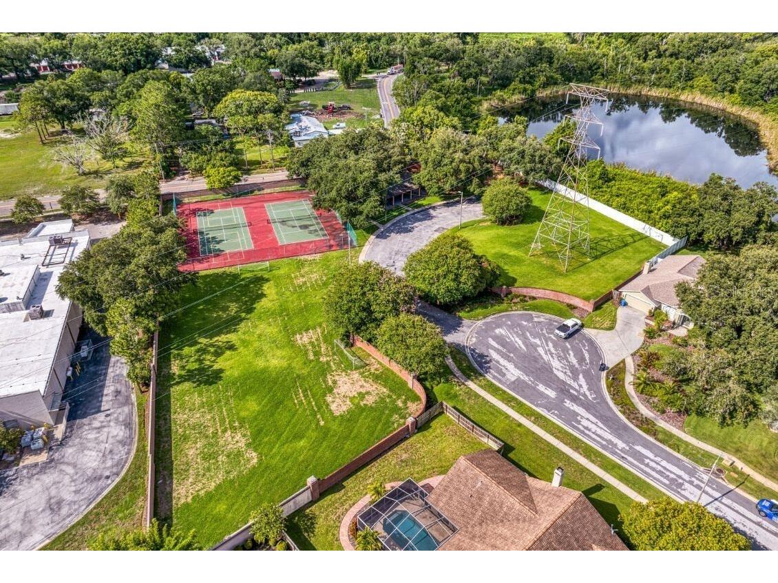 8412 Ridgebrook Circle Odessa FL 33556 TB8523754 image96