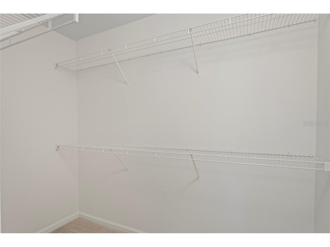 8412 Sandy Beach Street Tampa FL 33634 W7879080 image32