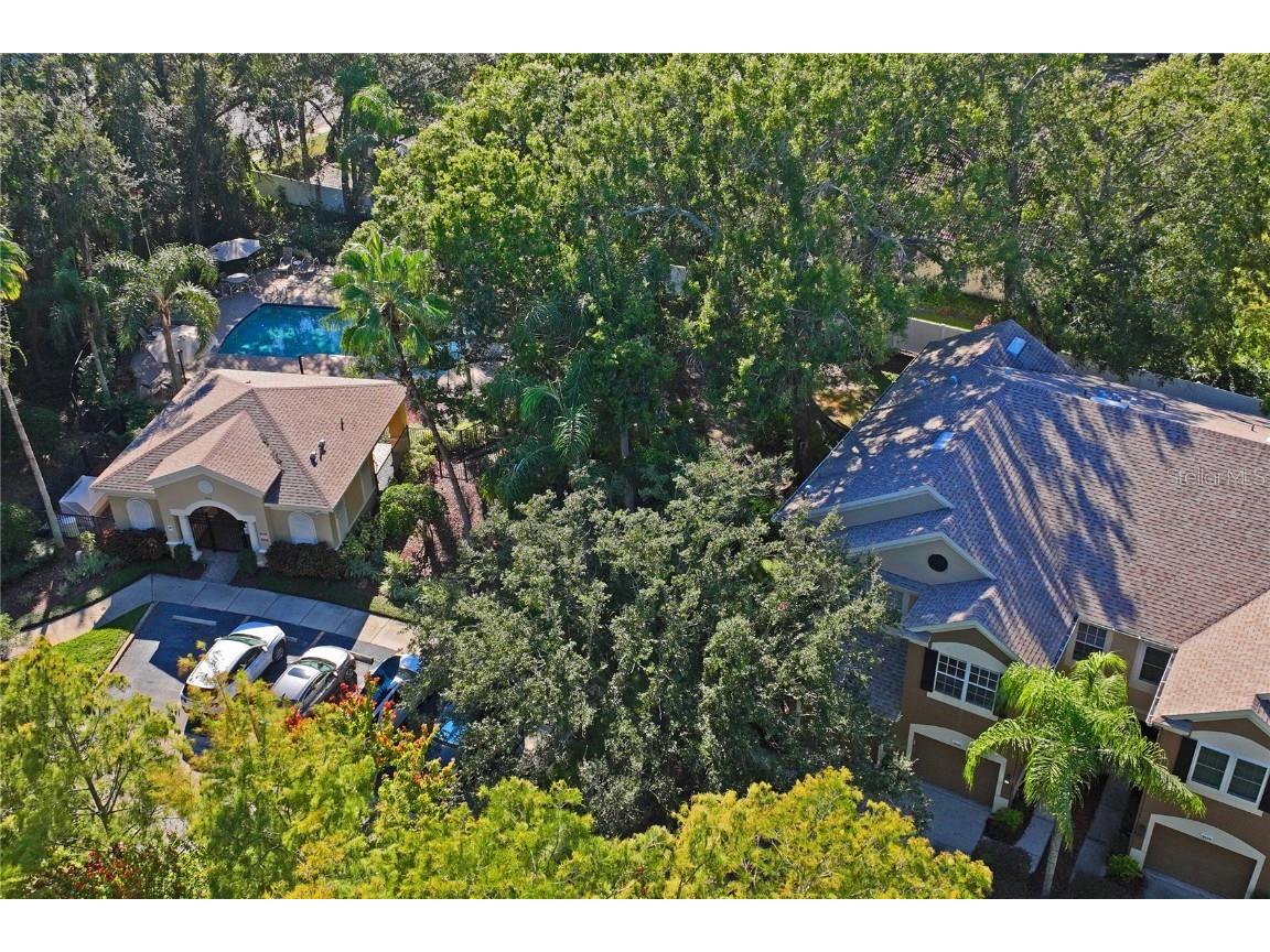 8412 Sandy Beach Street Tampa FL 33634 W7879080 image61