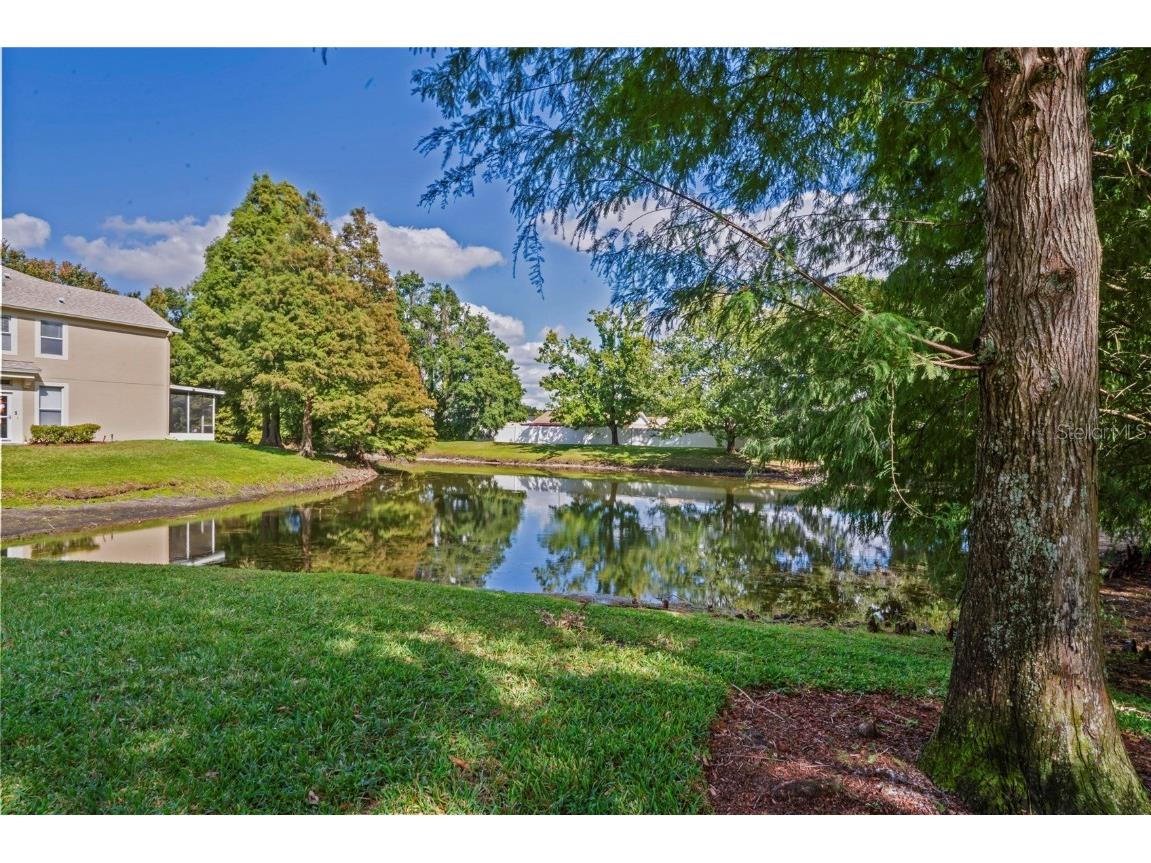 8412 Sandy Beach Street Tampa FL 33634 W7879080 image63